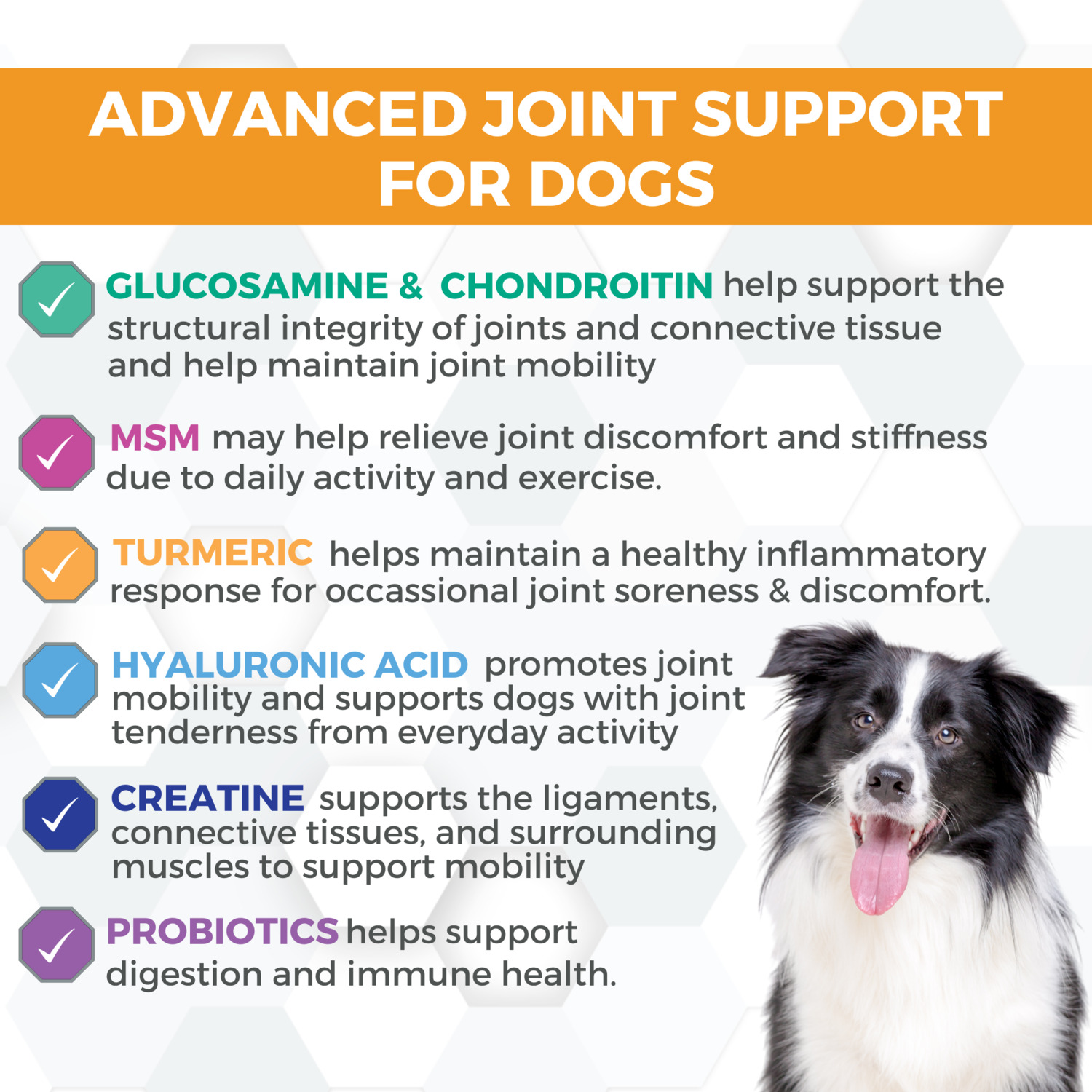 Progility Mini Hip & Joint Small & Medium Breeds Soft Chew Dog Supplements, 60Ct