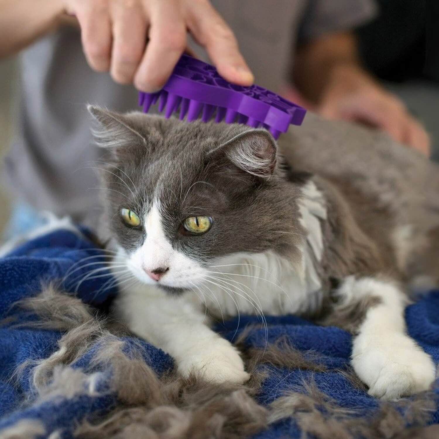 Kong Cat Zoomgroom&reg; Cat Grooming Brush