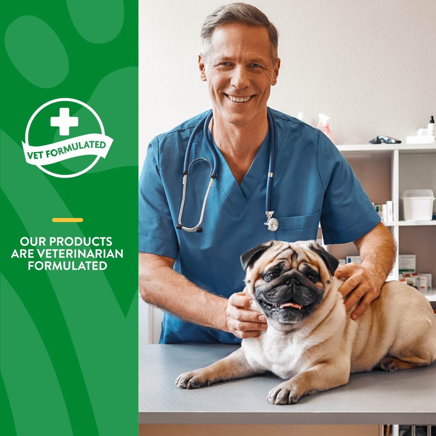 Naturvet No Scoot Anal Gland Support + Pumpkin Soft Chew Supplements For Dogs