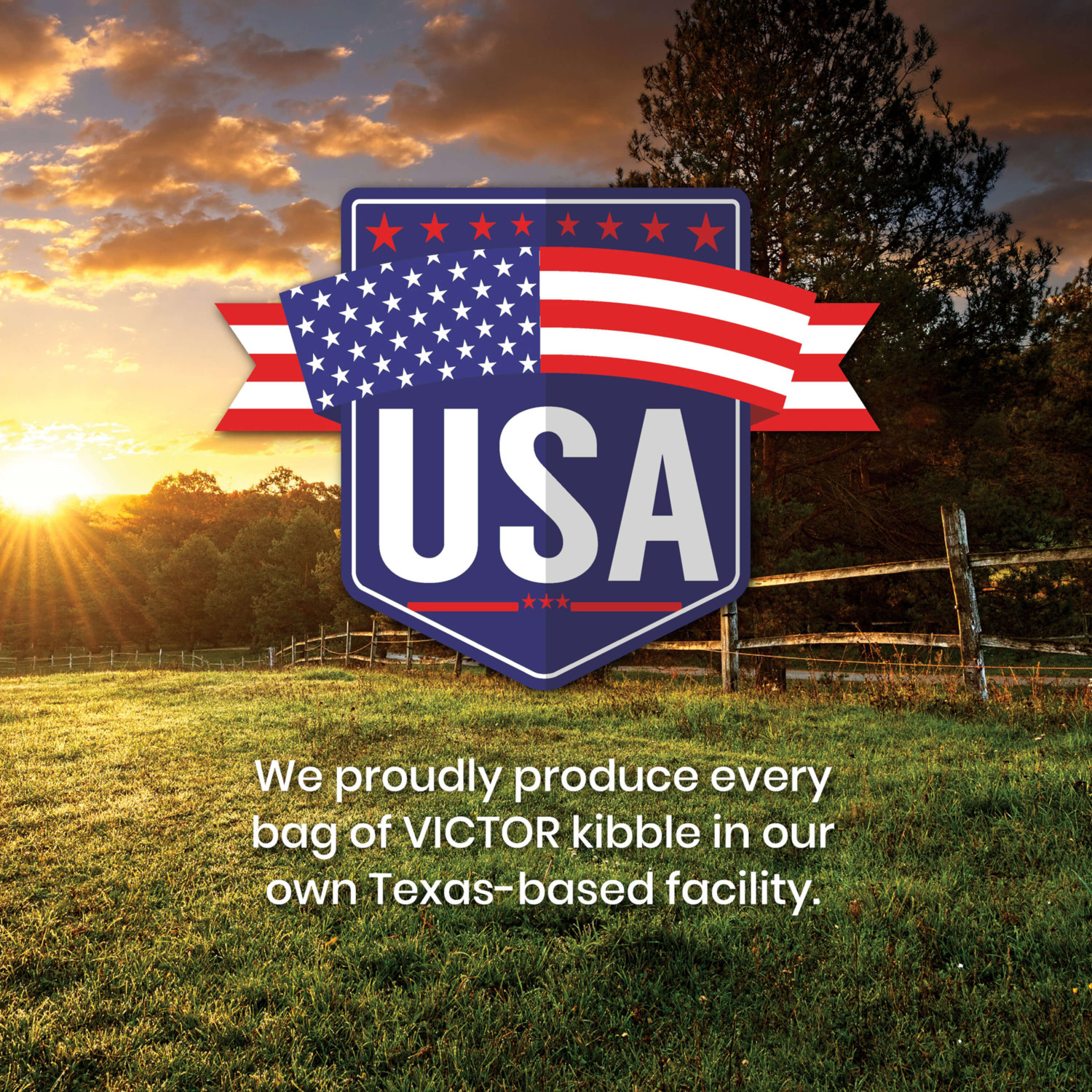 Victor Classic Hi-Pro Plus Dry Dog Food, 15-Lb