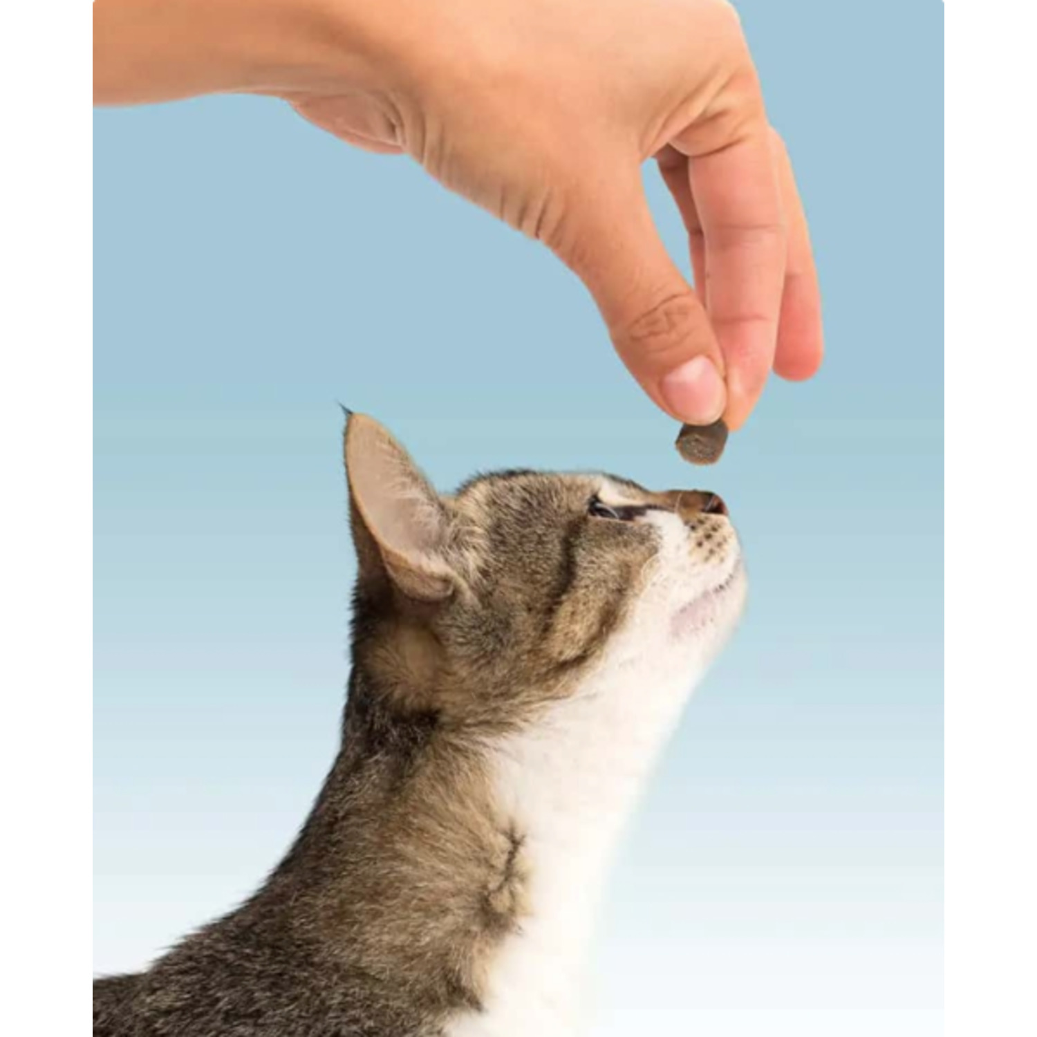 Pet Greens Cat Craves Tuna All Natural Soft & Chewy Cat Treats