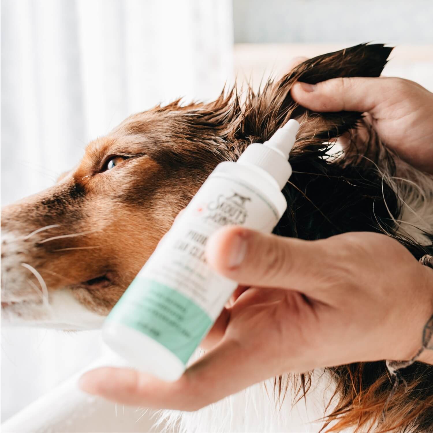 Skout's Honor Probiotic Ear Cleaner For Dogs & Cats