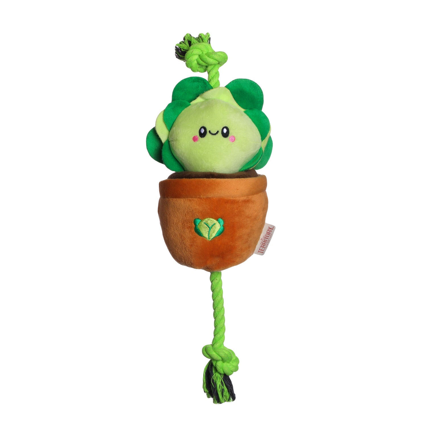 Territory Lettuce Treat-And-Tug Dog Toy, 15"