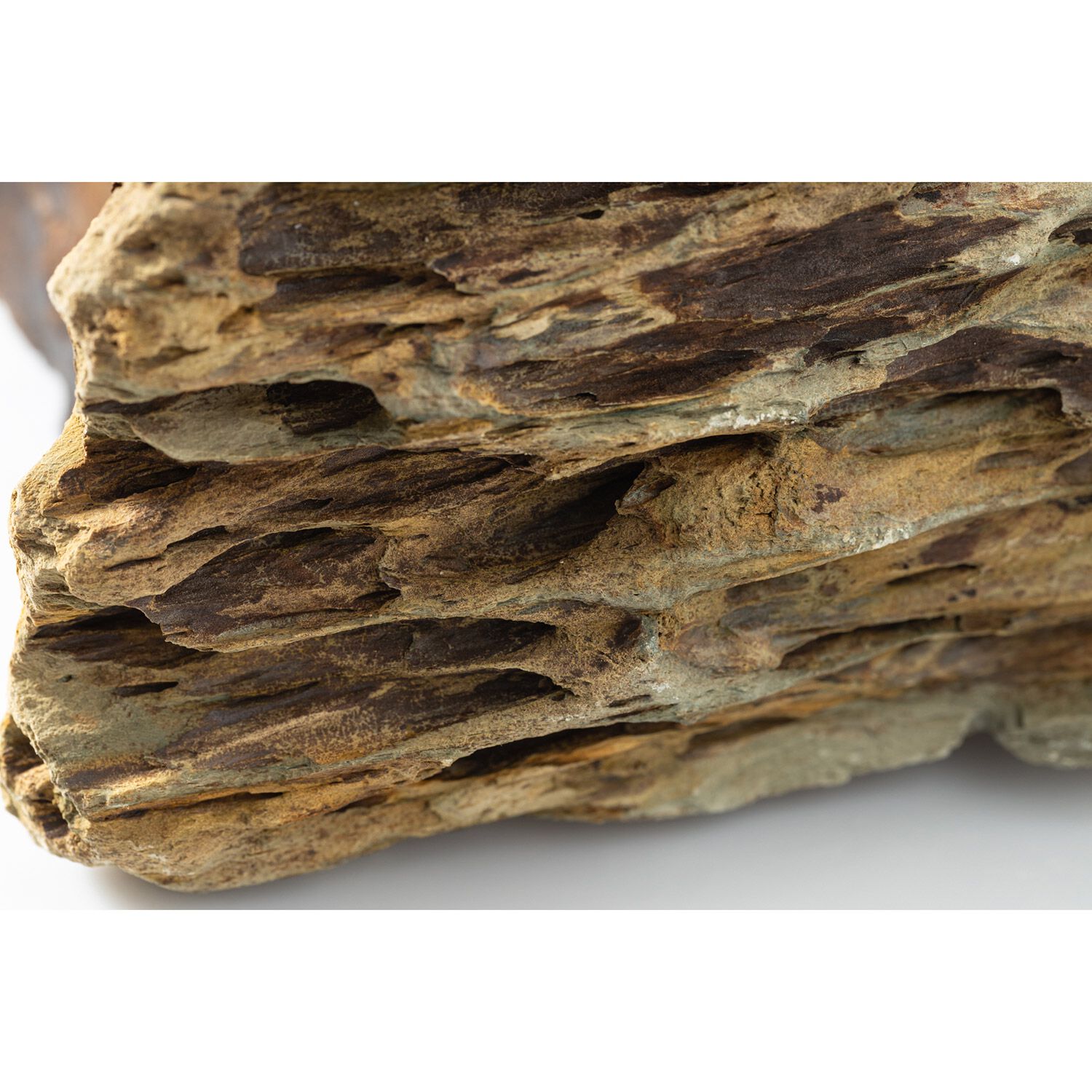 Carib Sea Exotica Freshwater Rock Dragon Stone