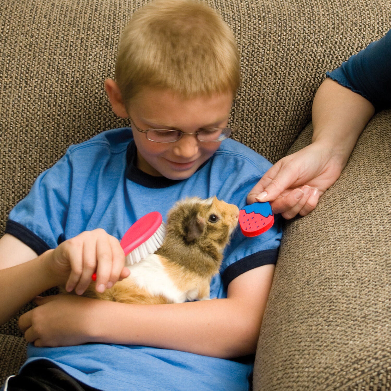 Ware Pet Products Small Animal Grooming Kit