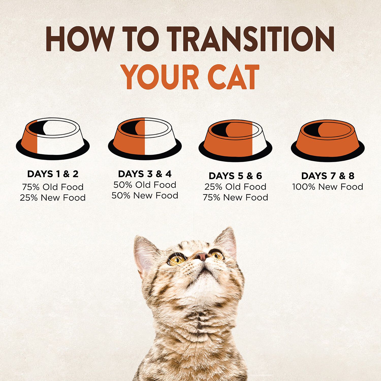 Wellness Core Pate Chicken, Turkey & Chicken Liver Recipe Cat Food