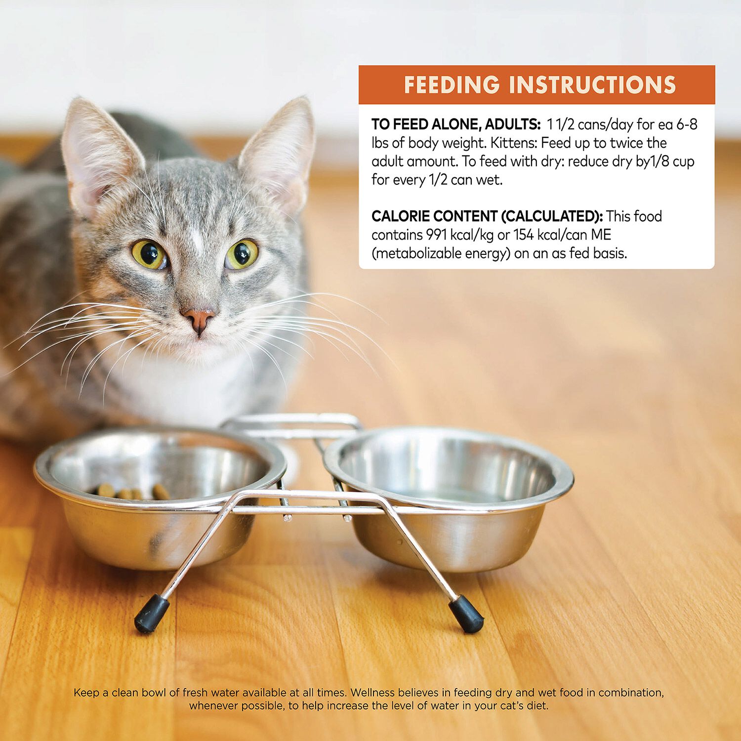 Wellness Core Hearty Cuts Natural Grain Free Chicken & Turkey Wet Cat Food