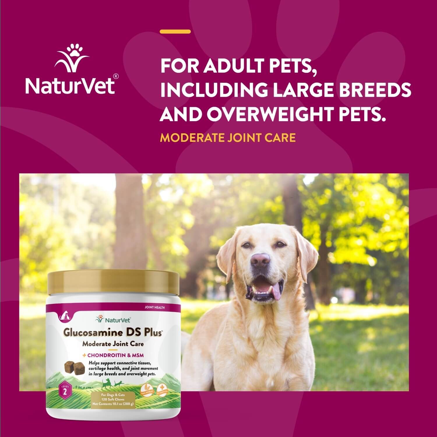Naturvet Glucosamine Ds +Chondroitin & Msm Moderate Joint Care Soft Chew Supplements For Dogs & Cats