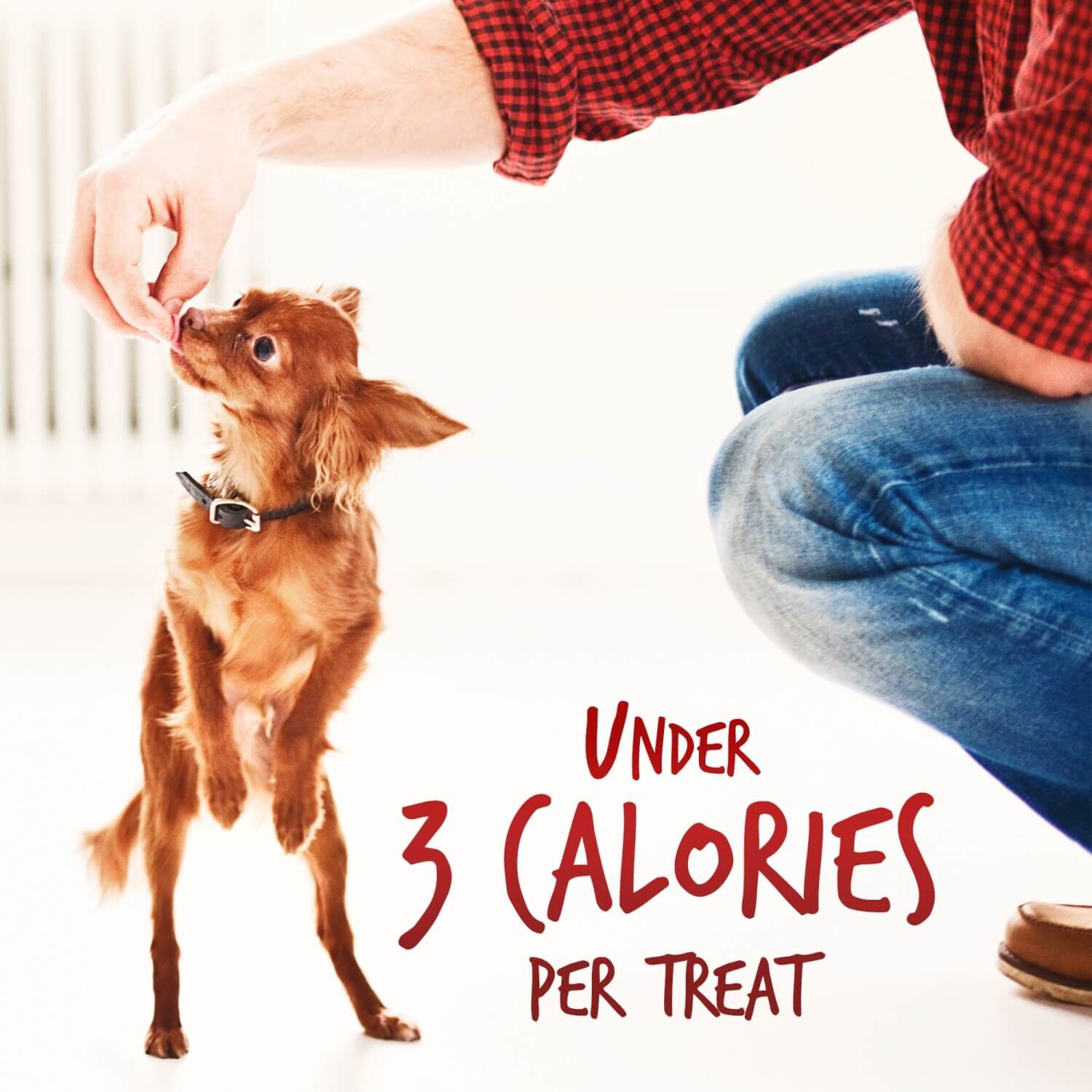 Fruitables Skinny Minis Healthy Low Calorie Dog Treats, Apple & Bacon Flavor