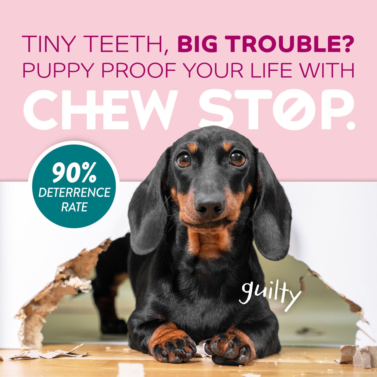 Tropiclean Chew Stop Behavior Aid Puppy Training Spray, 8Oz