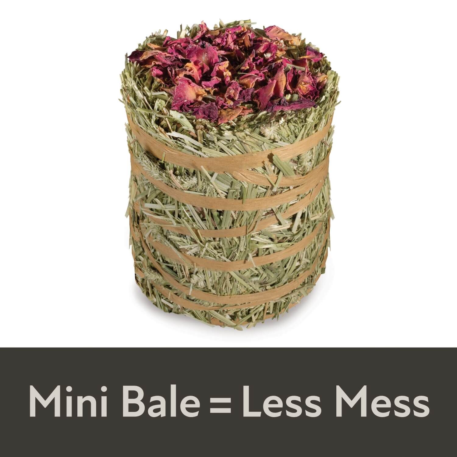 Kaytee Field+Forest By Mini Hay Bales, Rose