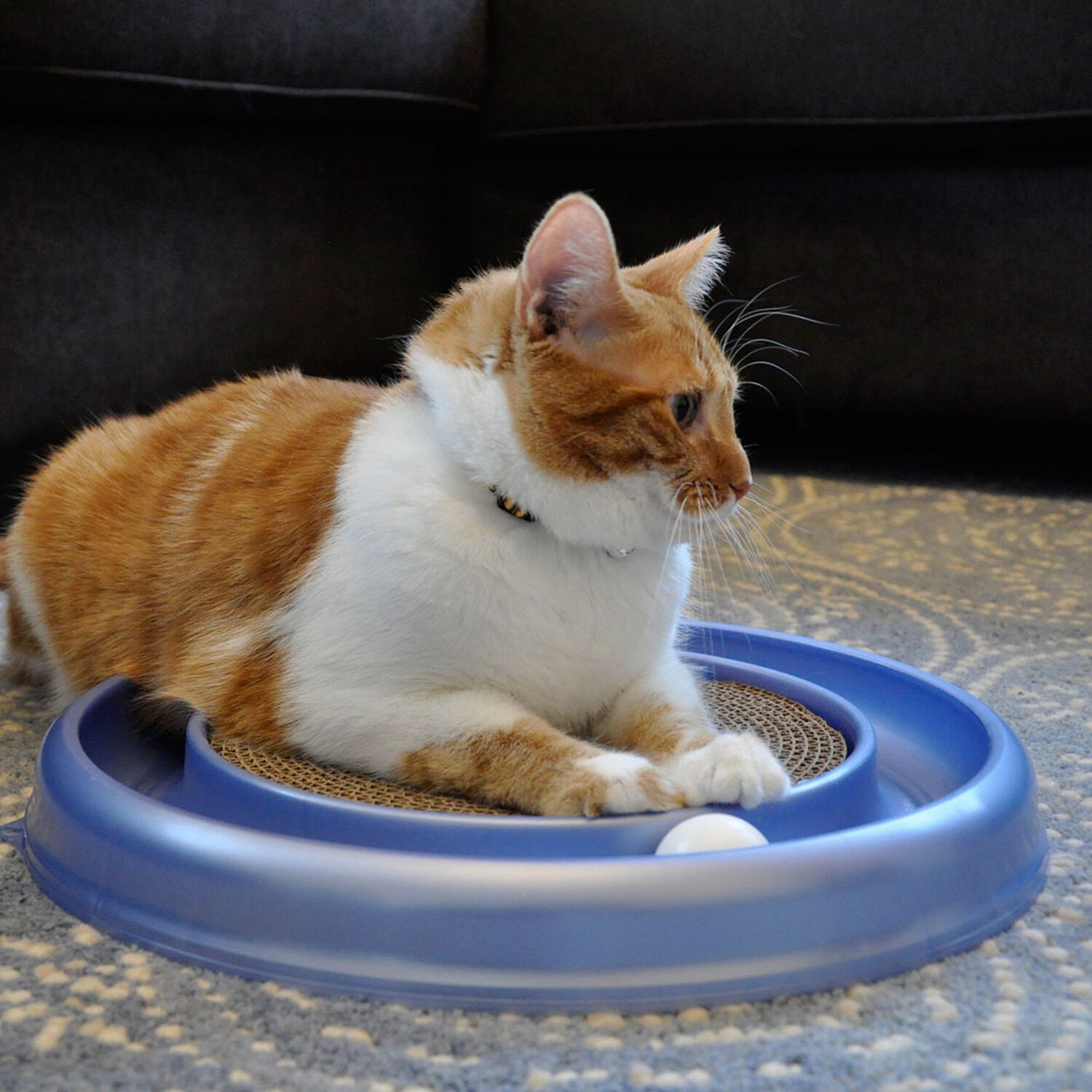 Bergan Turbo Scratcher Cat Toy, Assorted Colors