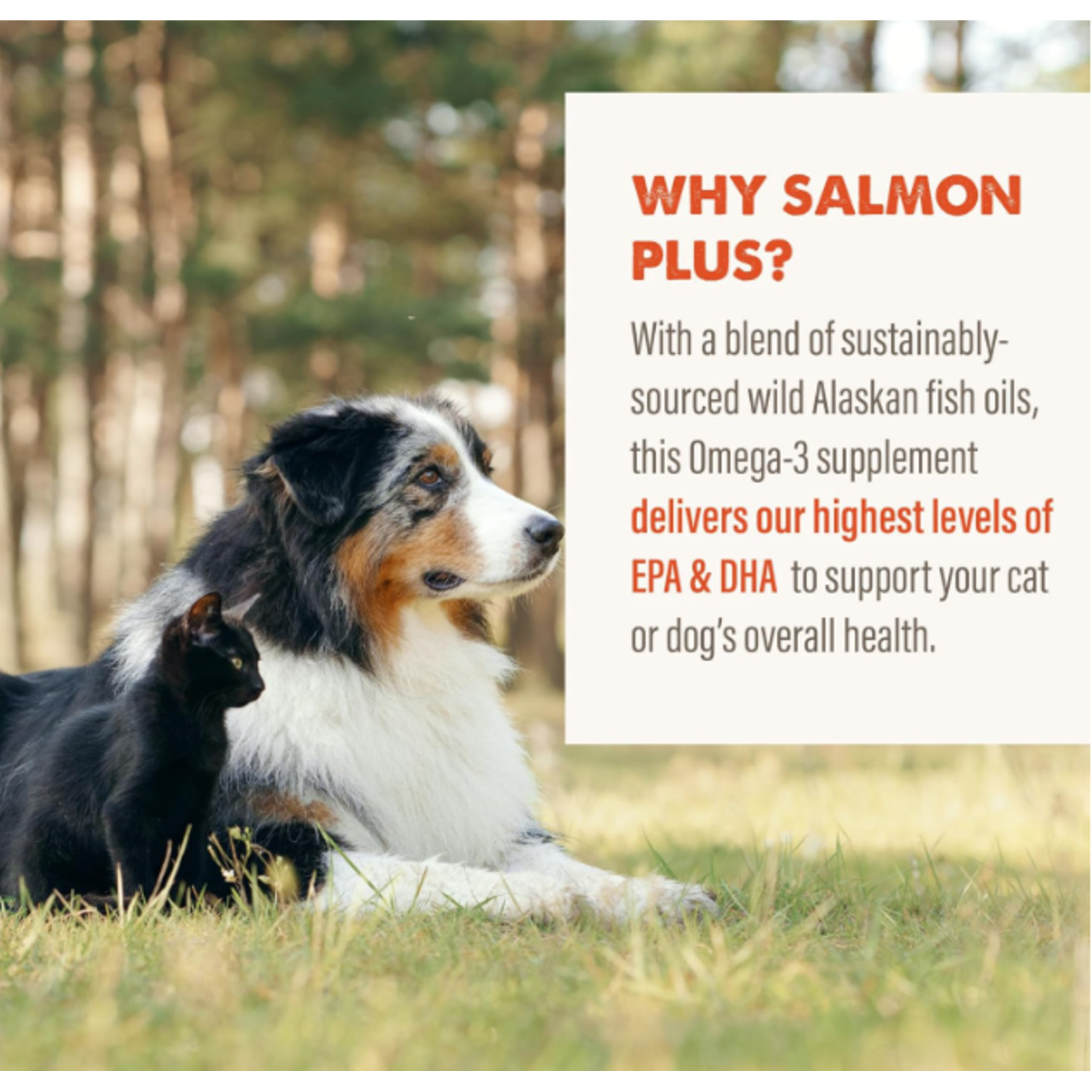 Grizzly Salmon Oil Plus Omega 3-6-9 Food Supplement For Dogs And Cats, 32-Ounce