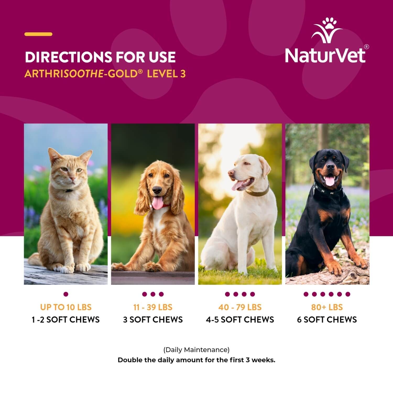Naturvet Arthrisoothe-Gold Advanced Joint Care Soft Chew Dog & Cat Supplements