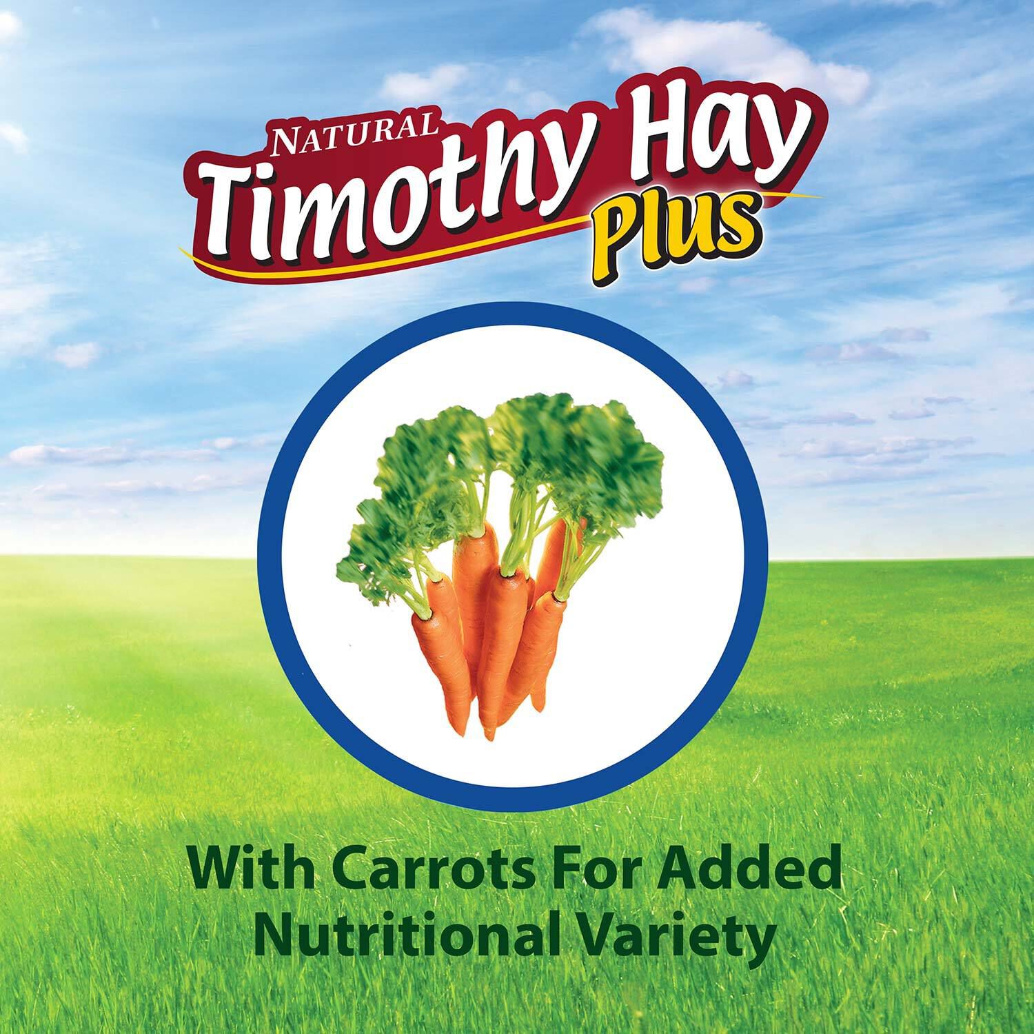 Kaytee Timothy Hay Plus Carrots