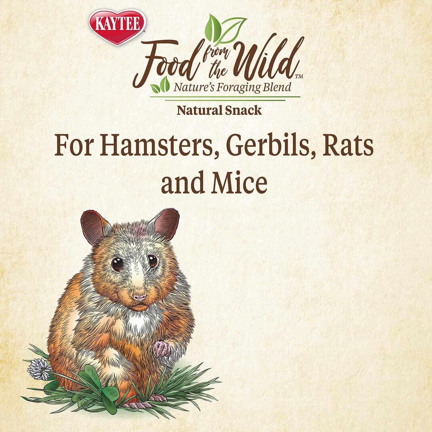 Kaytee Food From The Wild Natural Snack Small Animal Treat