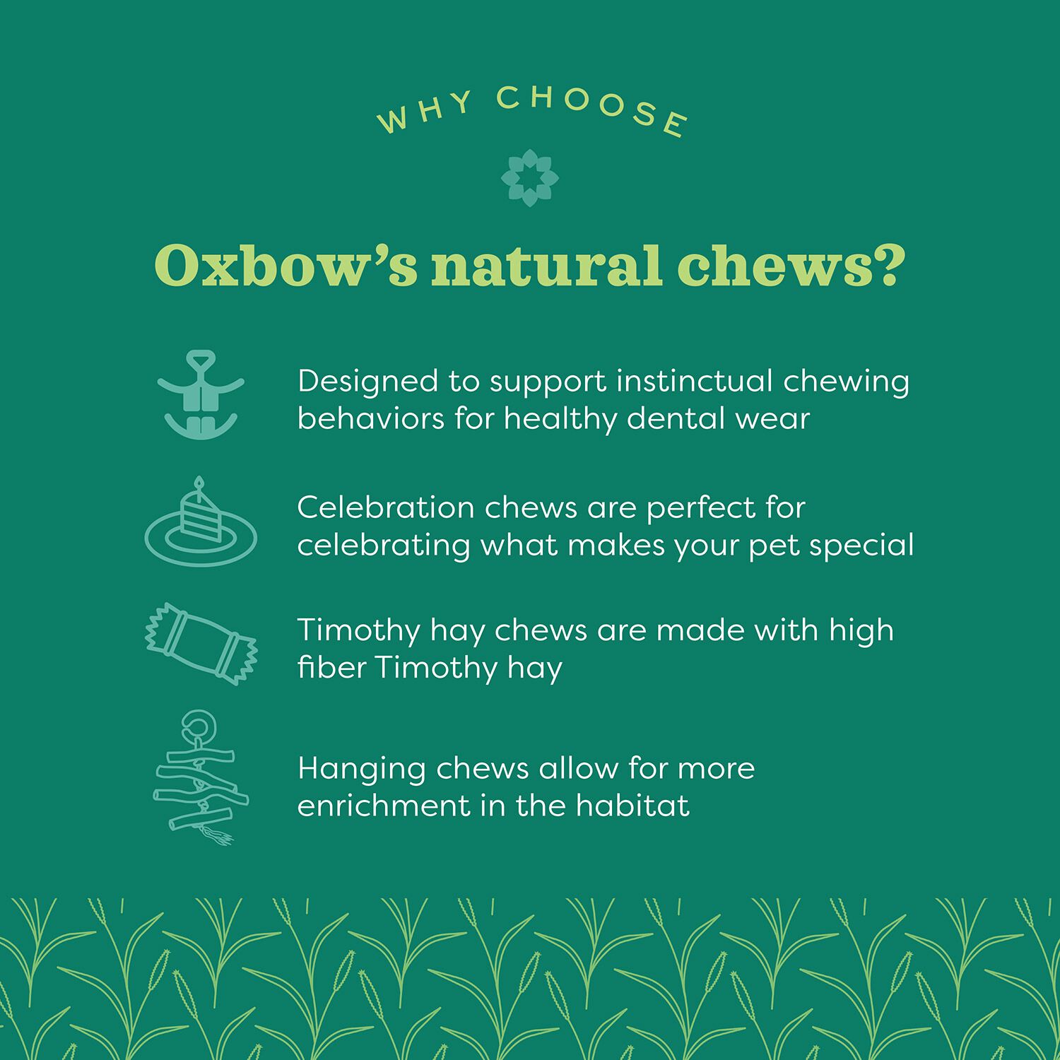 Oxbow Enriched Life Ox Blocks