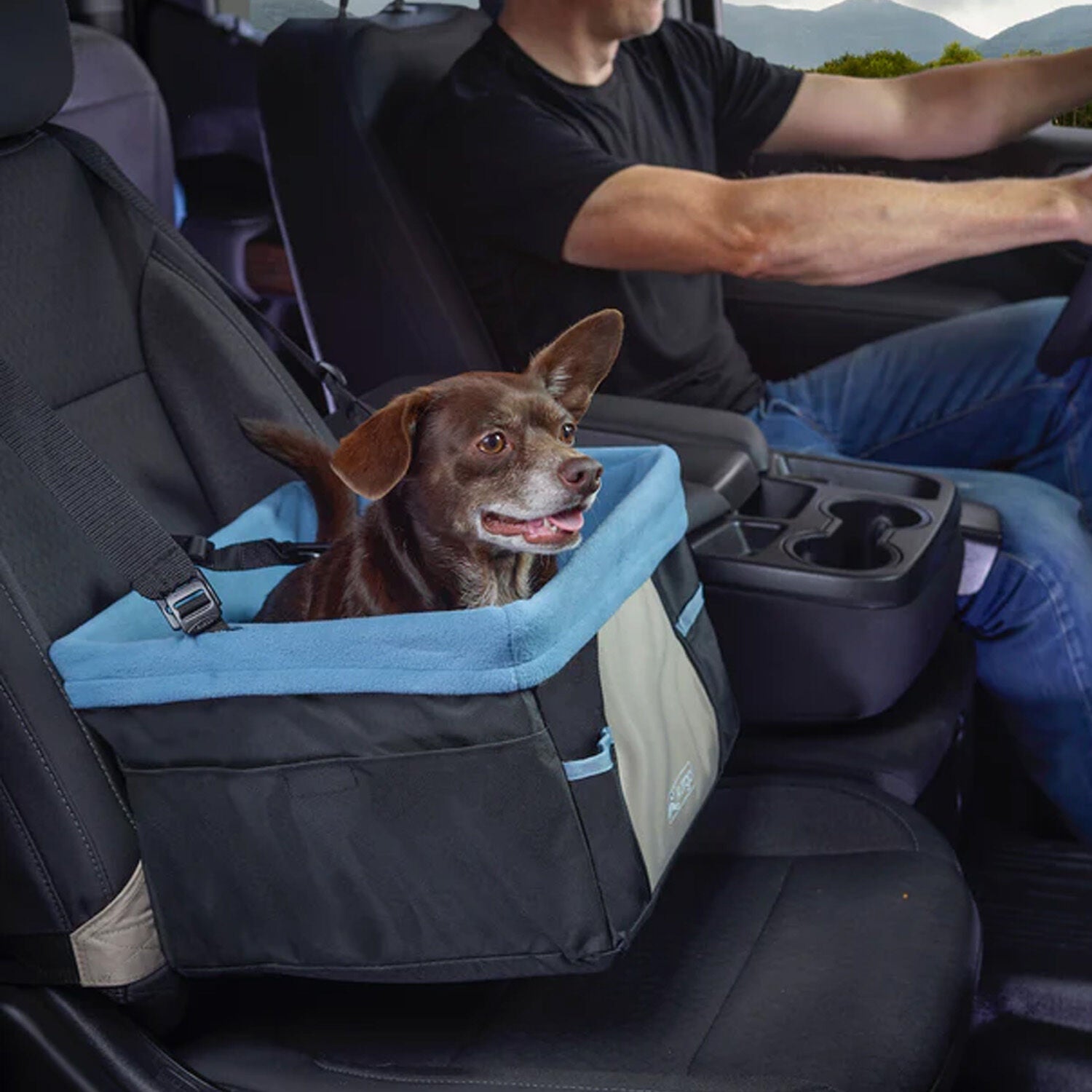 Kurgo Rover Booster Seat