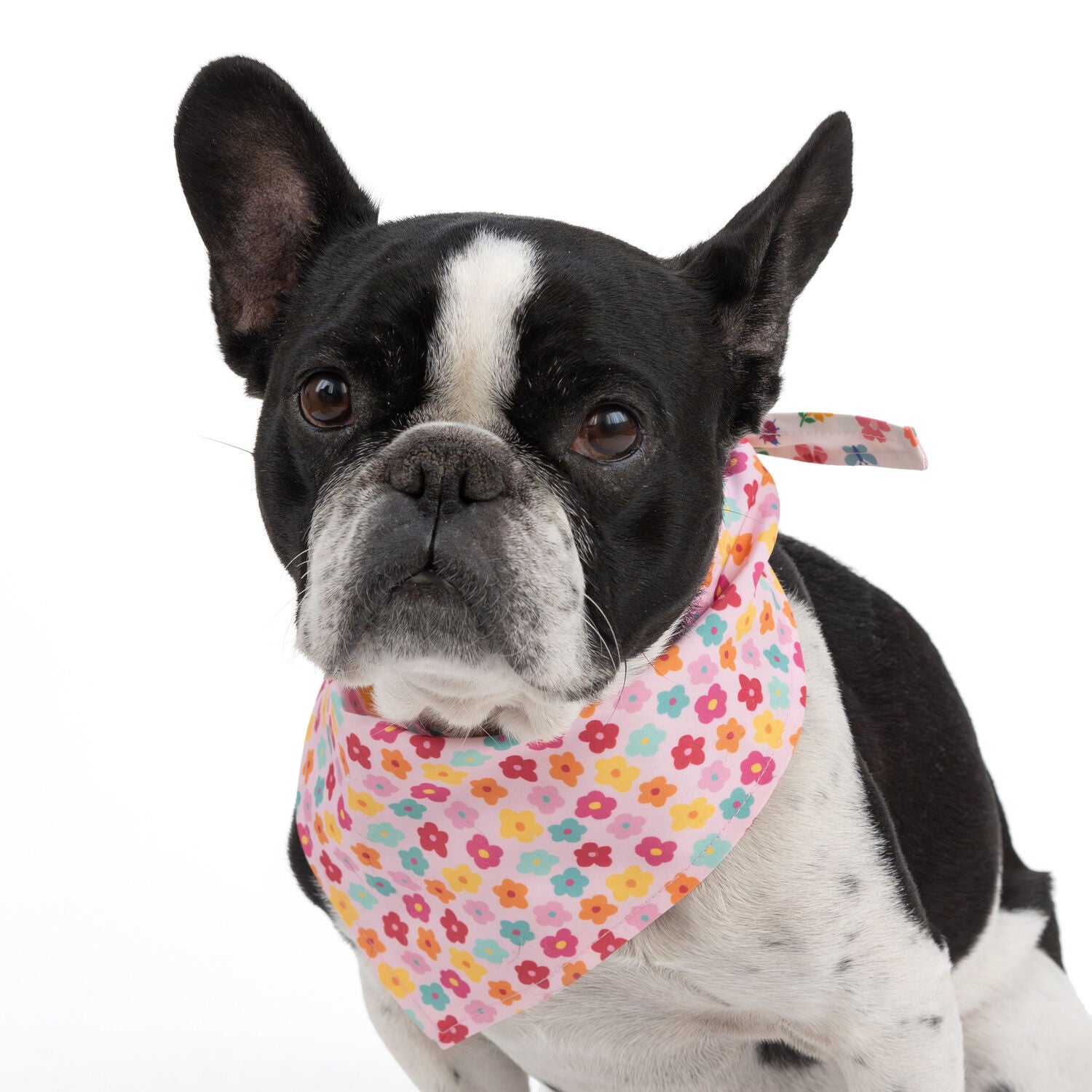 Simply Dog Reversible Spring Flowers Dog Bandana, Pink & White