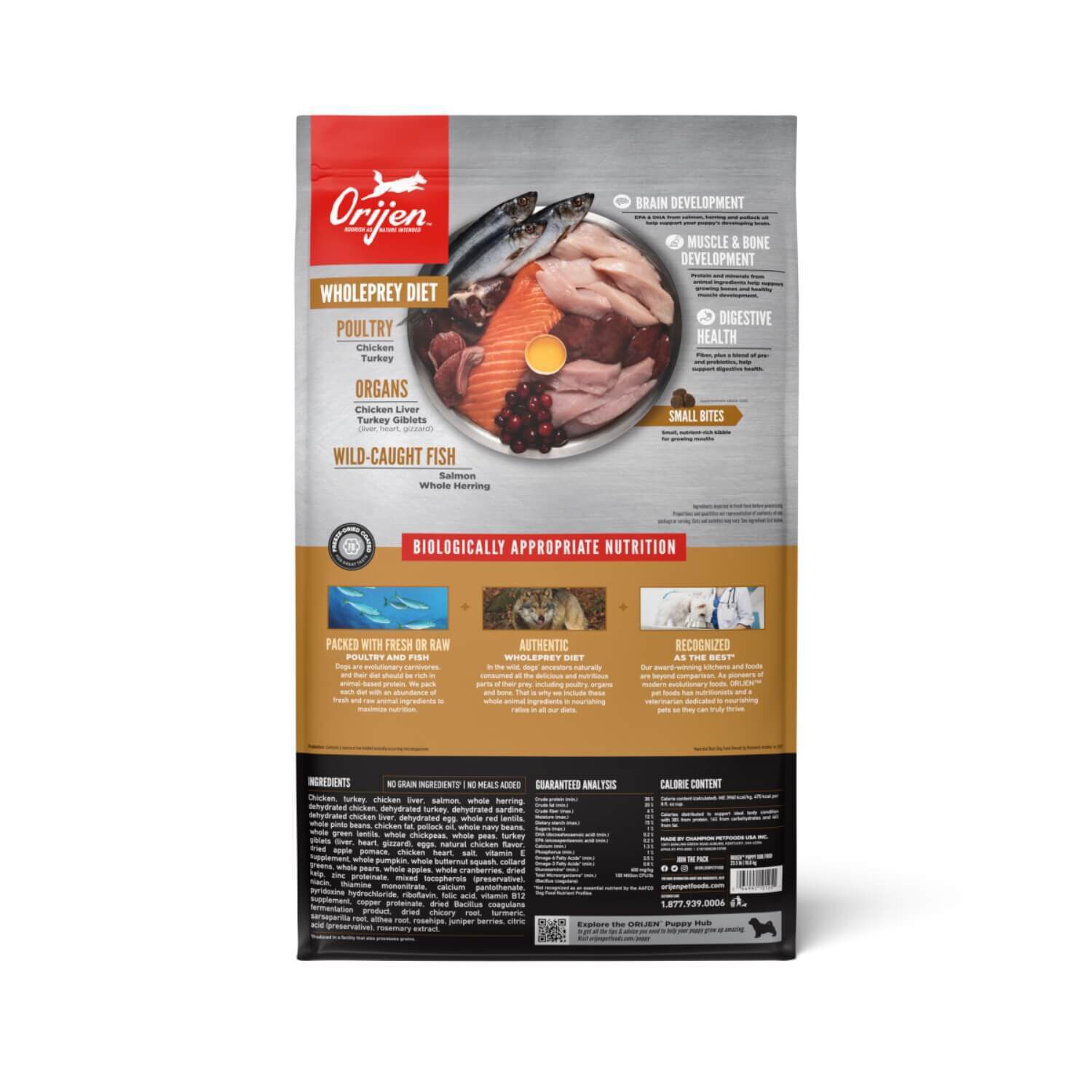 Orijen Puppy Grain Free Dry Dog Food