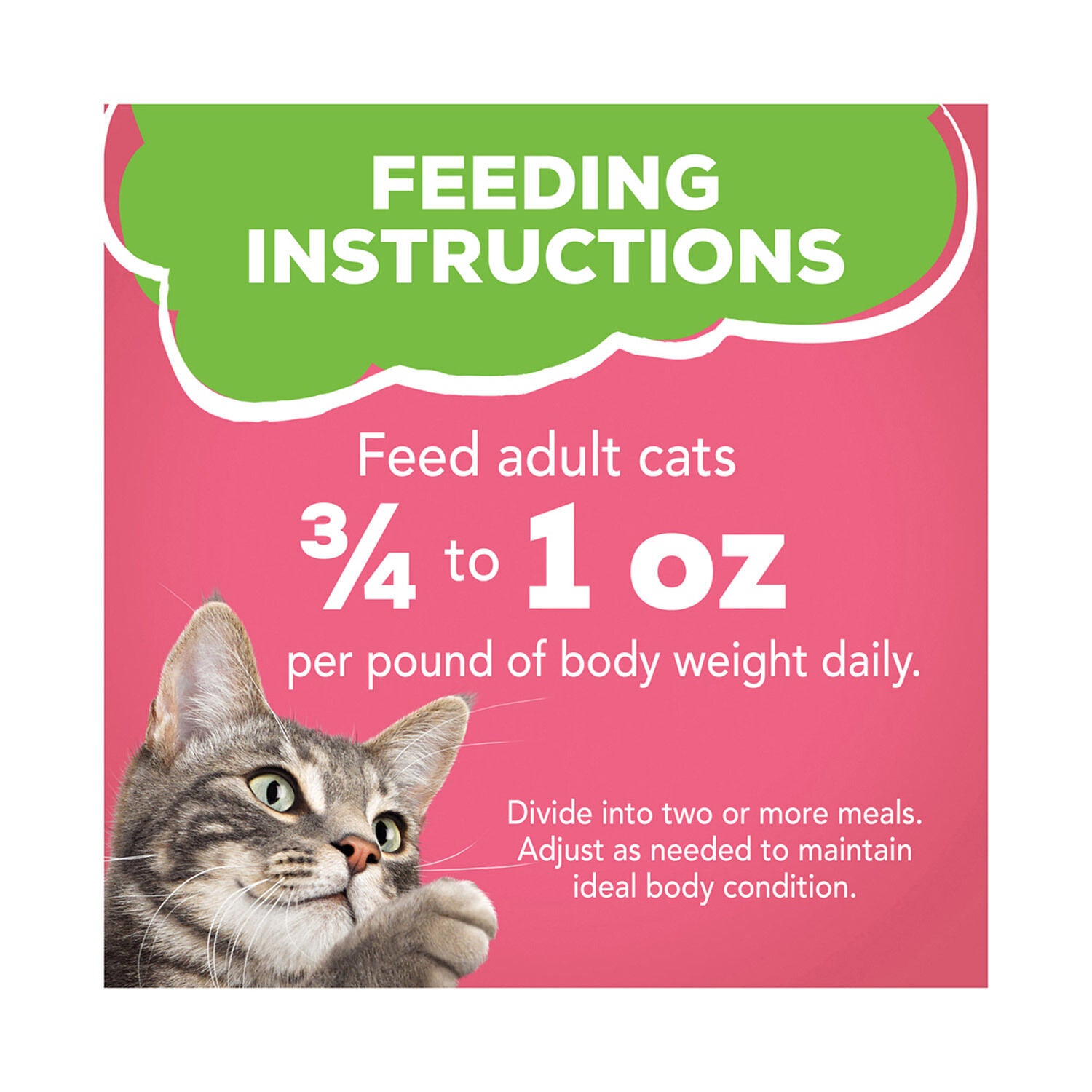 Friskies Salmon Dinner Pate Wet Cat Food