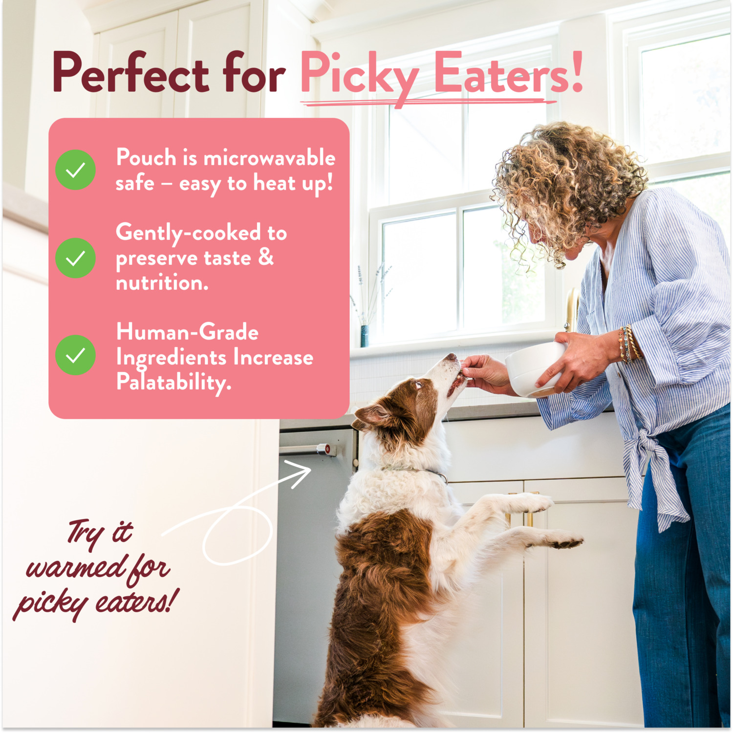 Portland Pet Food Company Wally's Salmon N' Rice Homestyle Gently Cooked Wet Dog Food