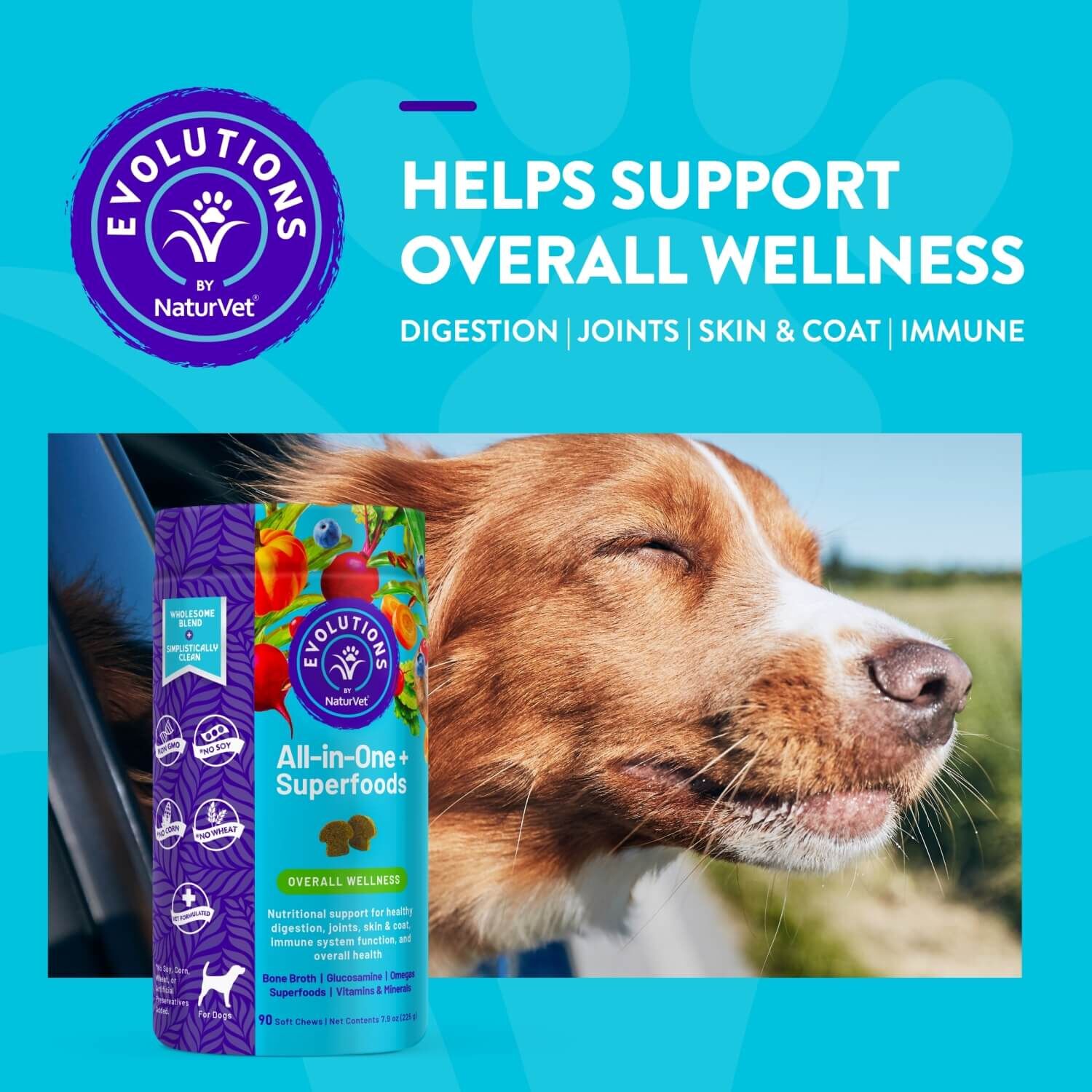 Naturvet Evolutions All-In-One + Superfoods Soft Chew Supplement For Dogs