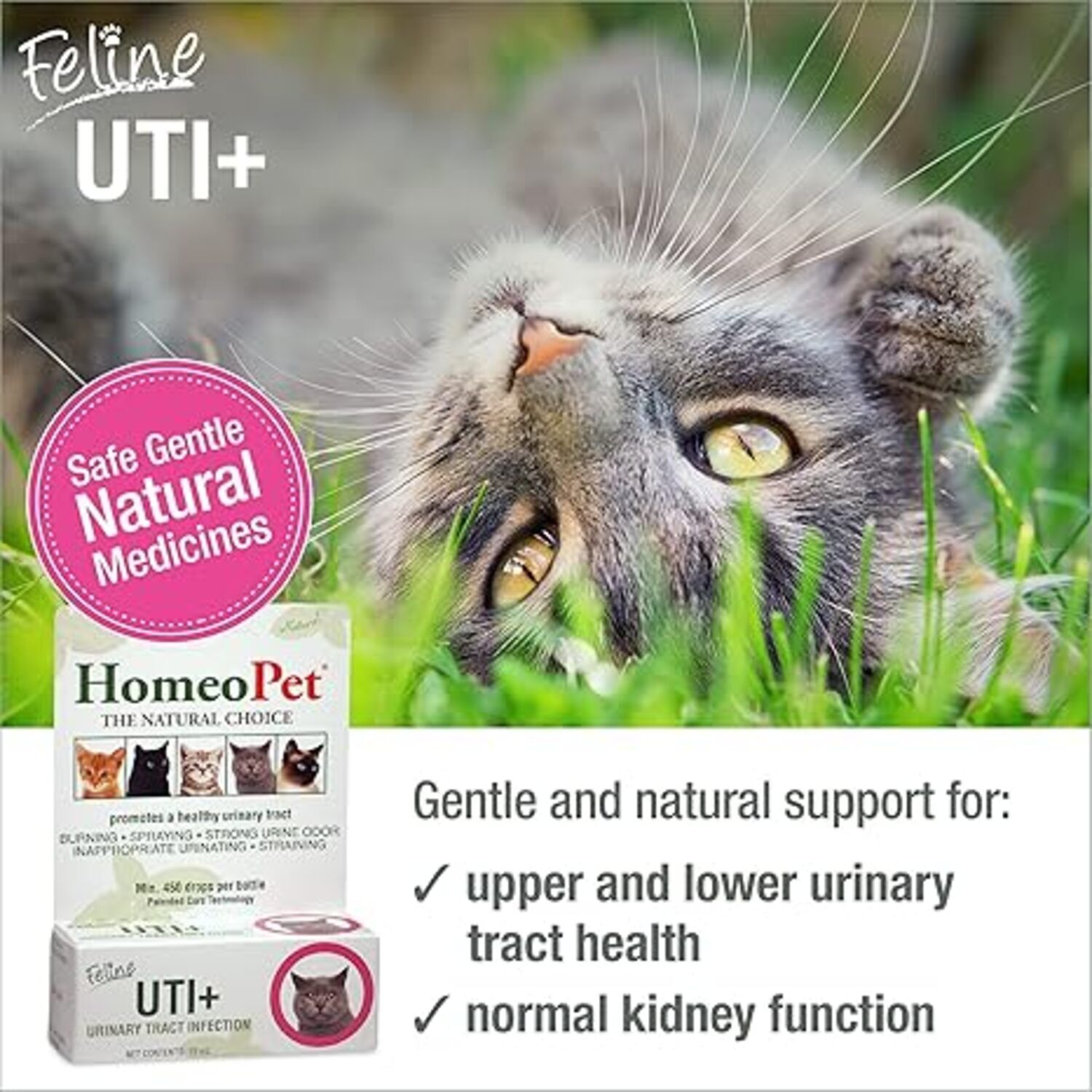 Homeopet Feline Uti Plus Cat Urinary Care Relief, 15Ml