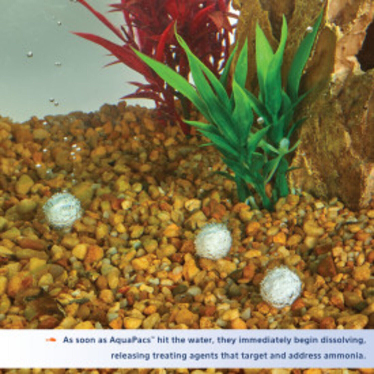 Aqueon Aquapacs Ammonia Reducer For Fish Tanks, 10 Gallon - 4 Pack
