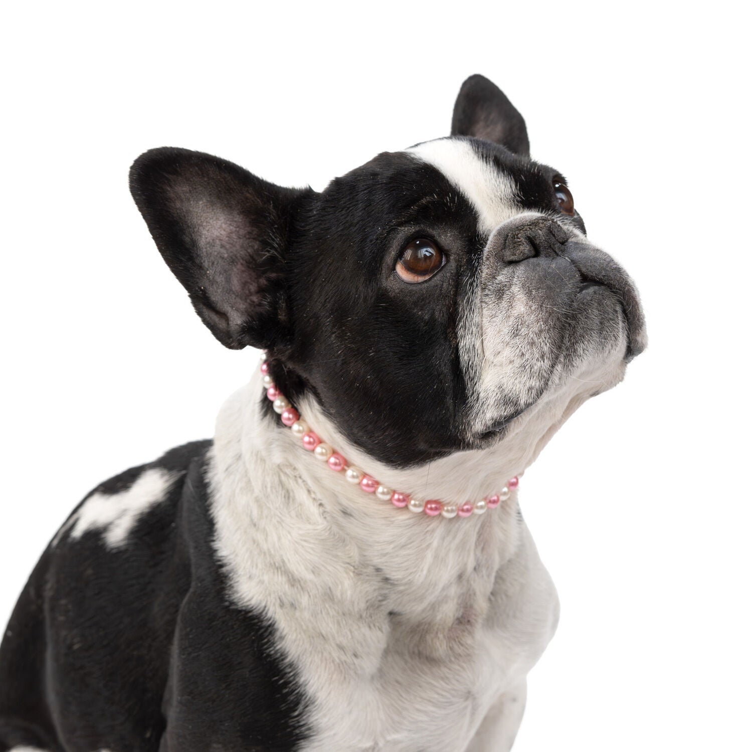 Simply Dog Faux Pearl Dog Necklace, Pink & White