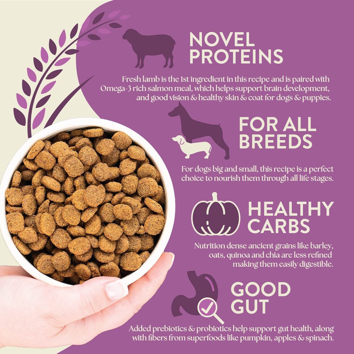Earthborn Holistic Unrefined Roasted Lamb With Ancient Grains & Superfoods Dry Dog Food