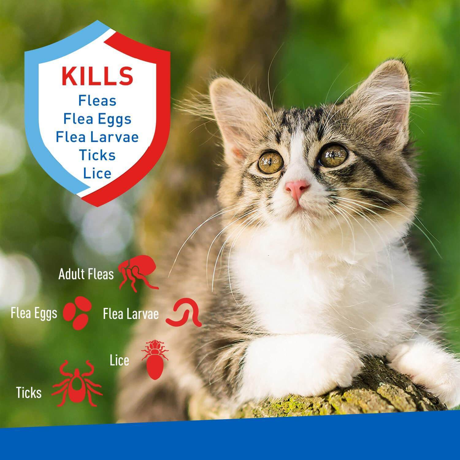 Adams Plus Flea & Tick Foaming Shampoo & Wash For Cats & Kittens