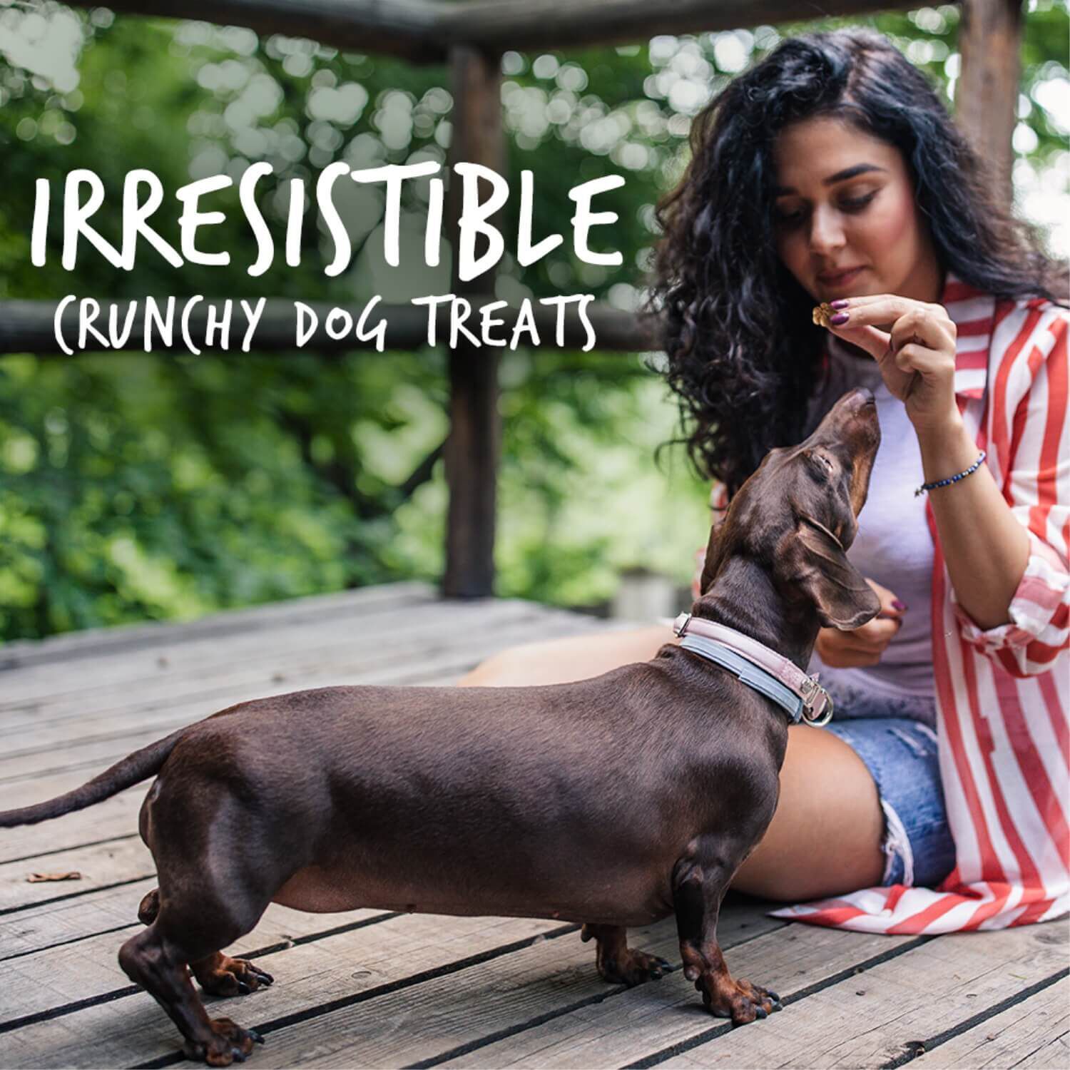 Fruitables Baked Pumpkin & Cranberry Flavor Crunchy Dog Treats