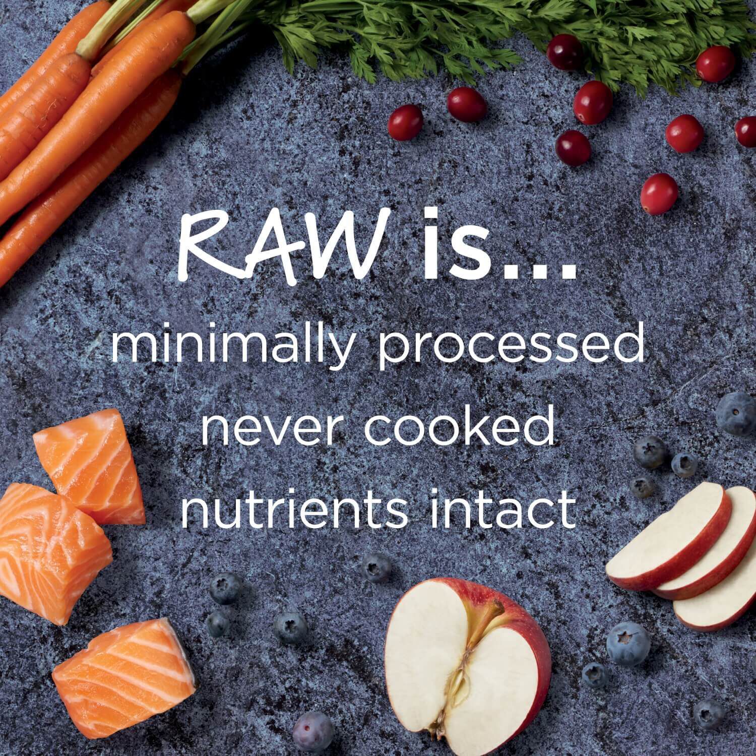 Instinct Raw Boost Grain-Free Recipe With Real Salmon Dry Dog Food, 19-Lb