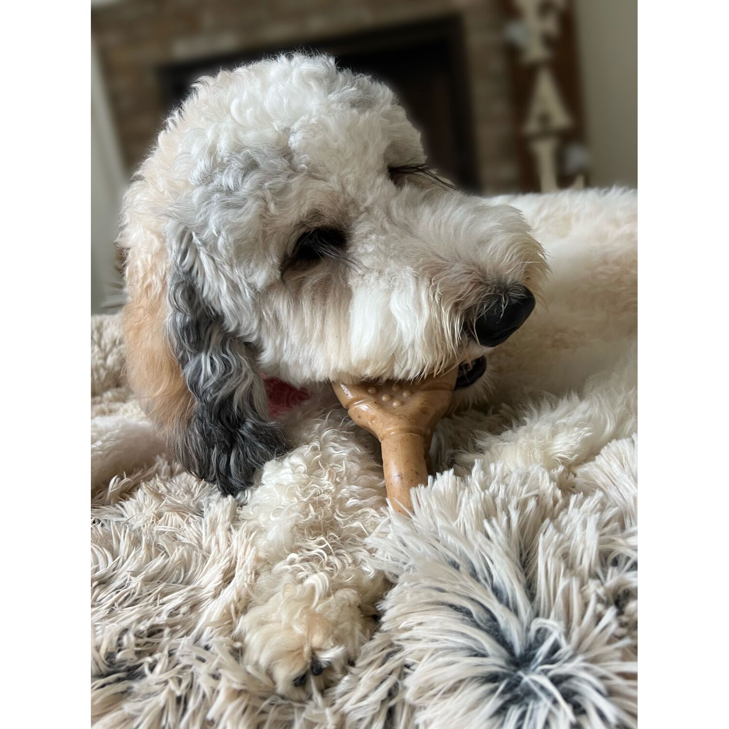 Tall Tails Wobbler Textured Bacon Scented Dog Chew Toy, 7" - Large
