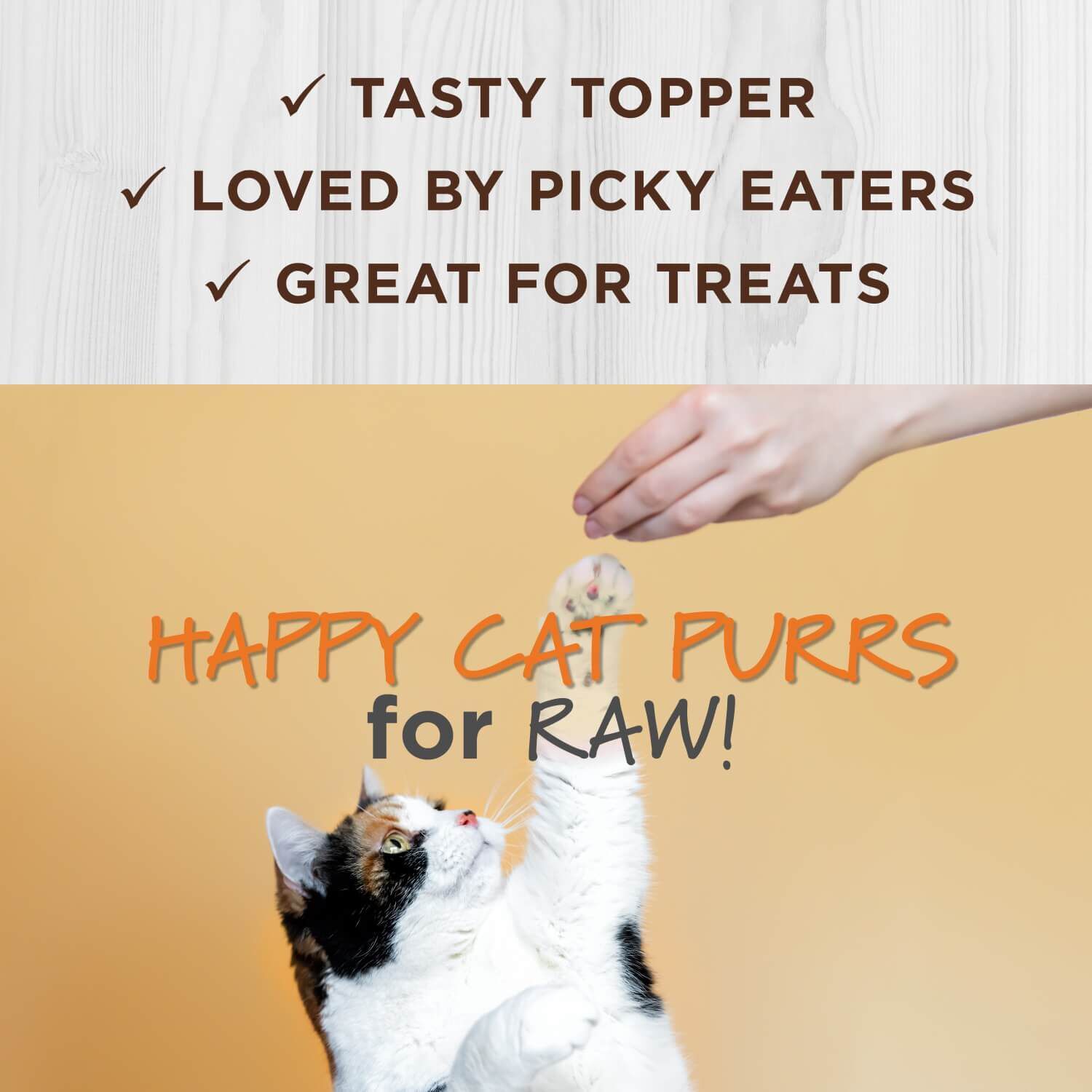 Instinct Raw Boost Mixers Skin & Coat Health Freeze-Dried Cat Food Topper, 0.75Oz