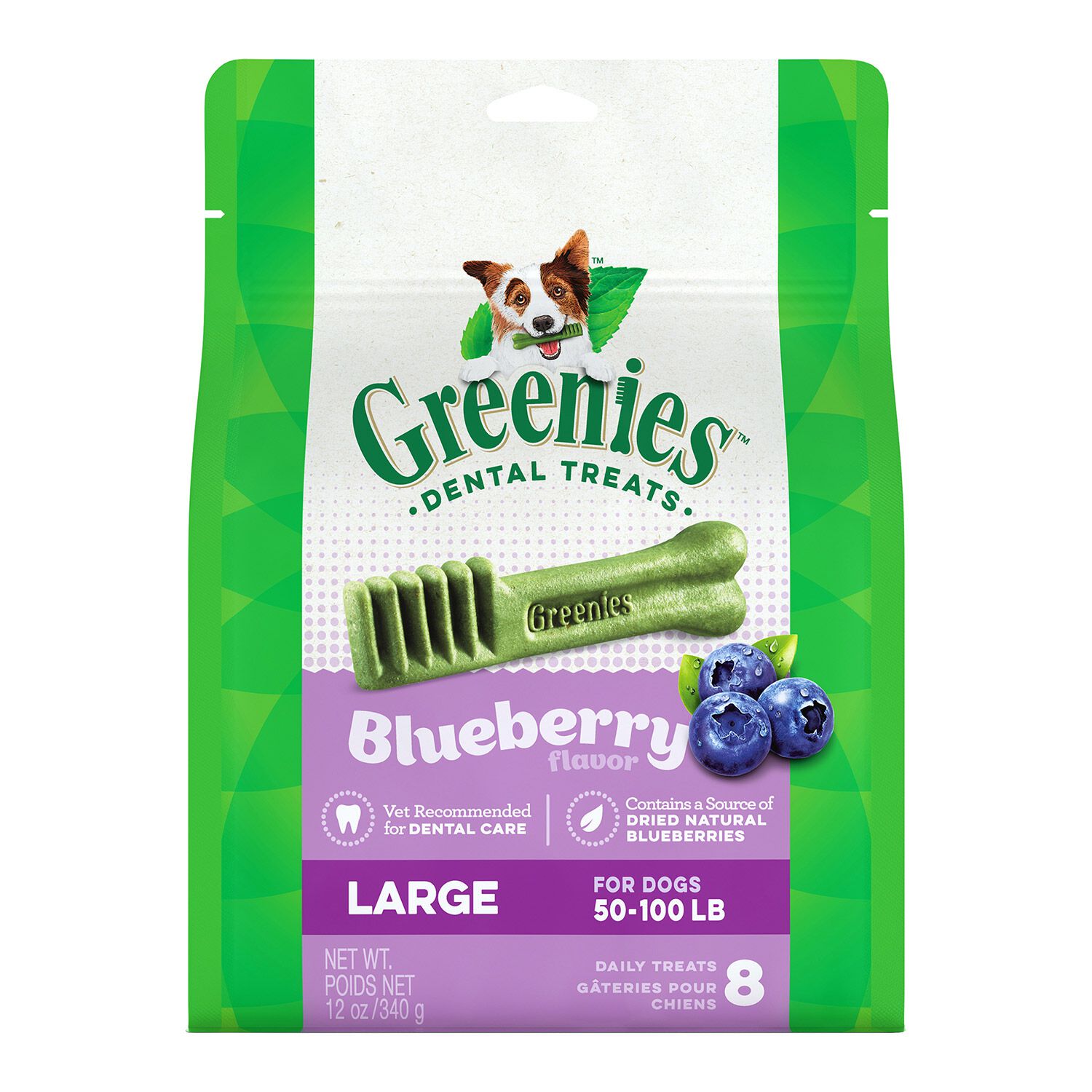 Blueberry Flavor Dental Treats Large