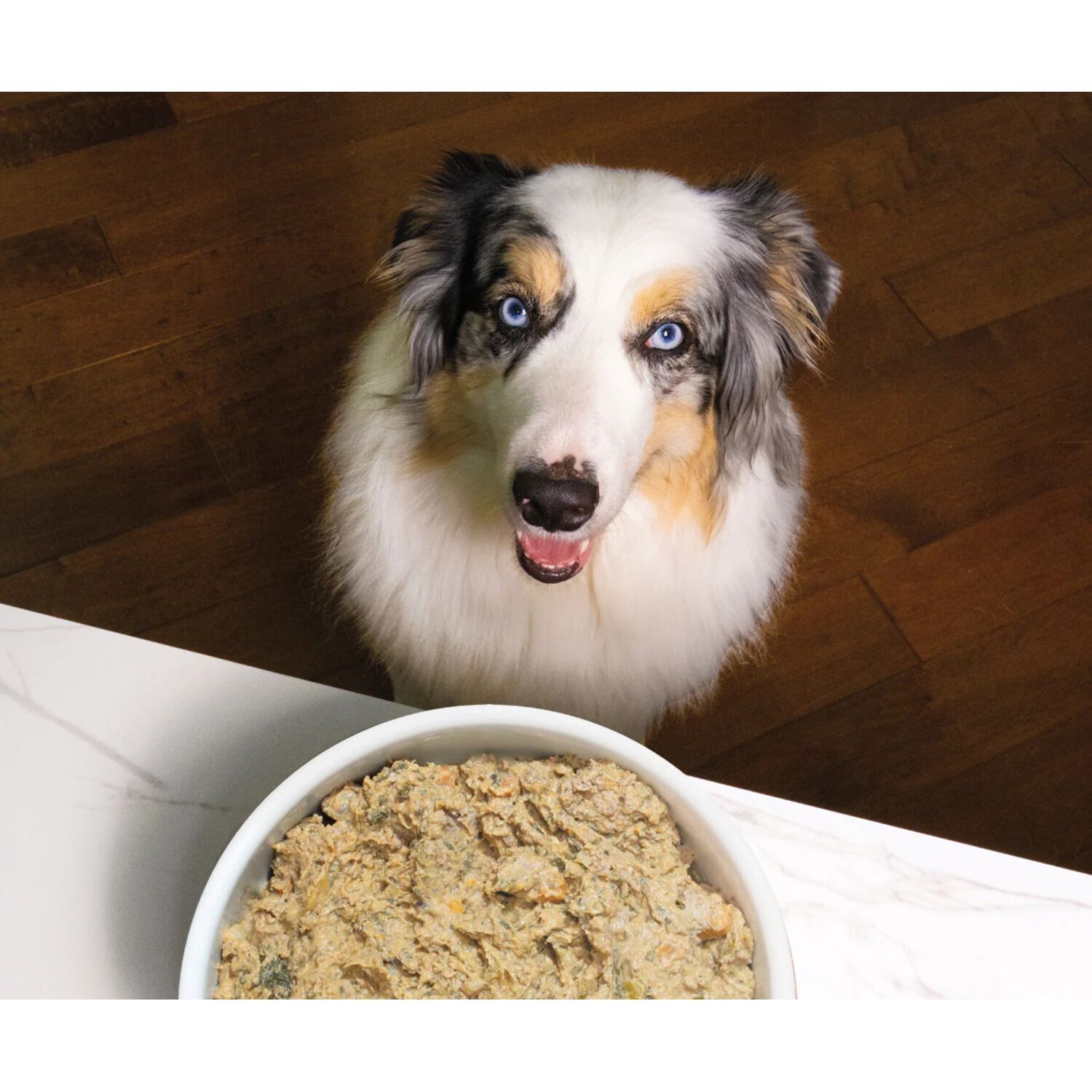 Open Farm Gently Cooked Pasture-Raised Lamb Recipe Frozen Dog Food