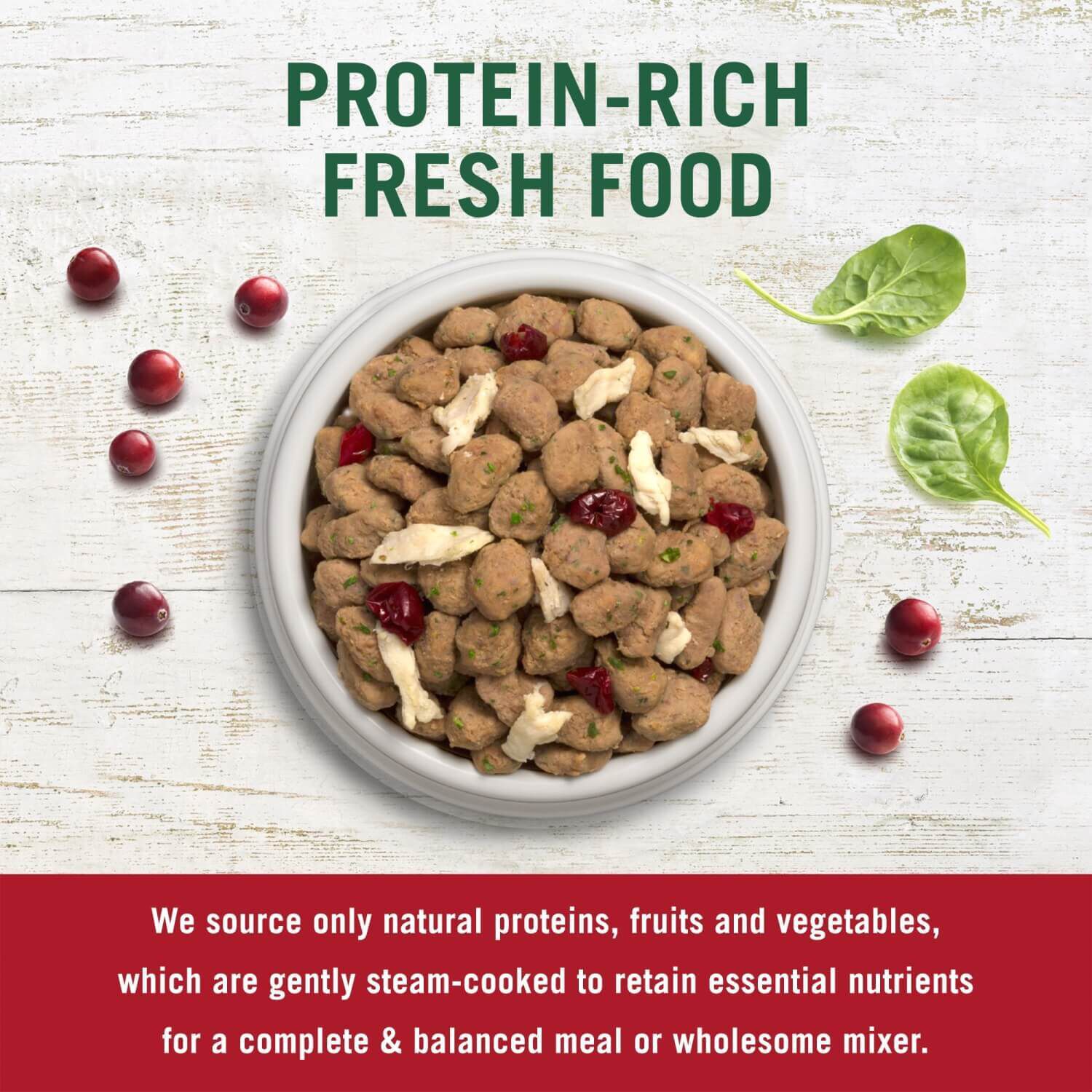 Freshpet Vital Grain Free Fresh Dog Food, Chicken, Beef, Salmon & Egg Recipe