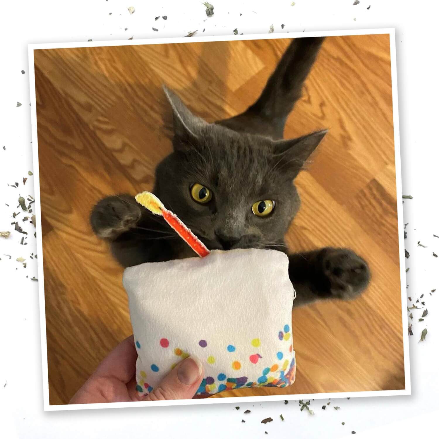 Meowijuana "Get Lit" Birthday Cake Refillable Catnip Cat Toy