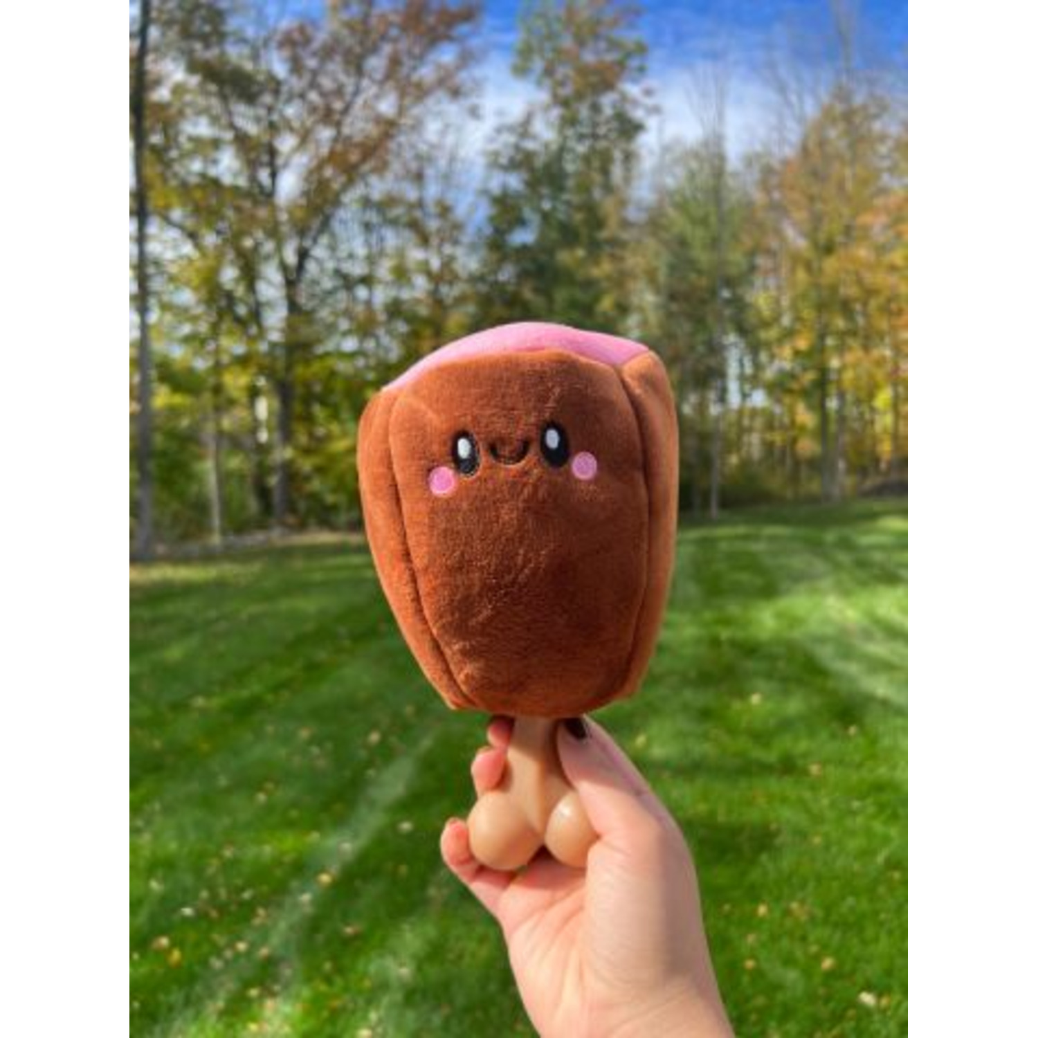 Territory Ham Bone 2-In-1 Squeak & Chew Scented Dog Toy, 8"