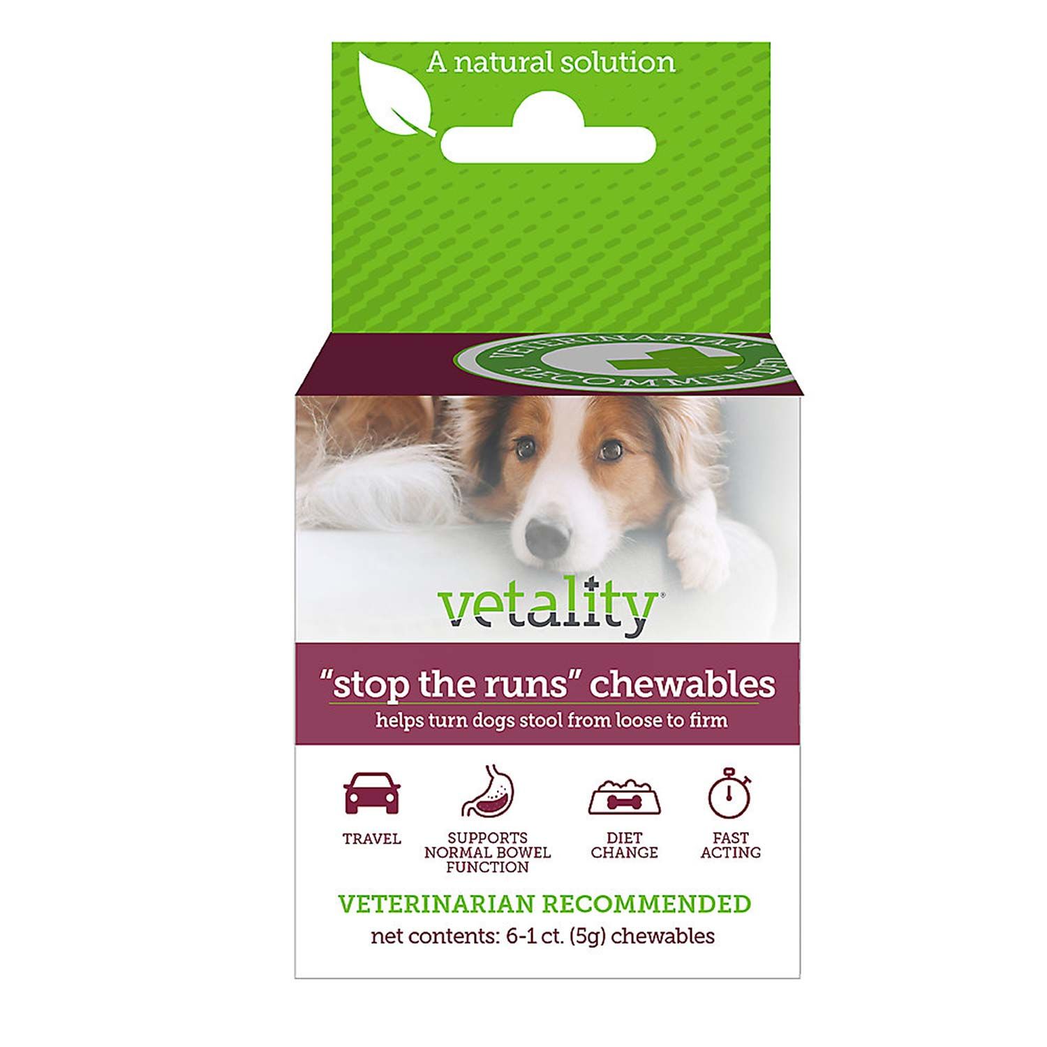 Vetality Stop The Runs Chewables For Dogs 6 Ct