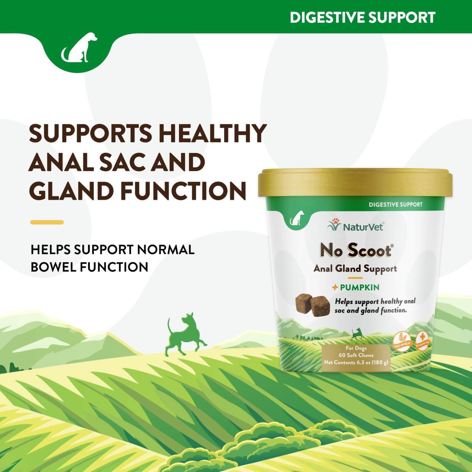 Naturvet No Scoot Anal Gland Support + Pumpkin Soft Chew Supplements For Dogs