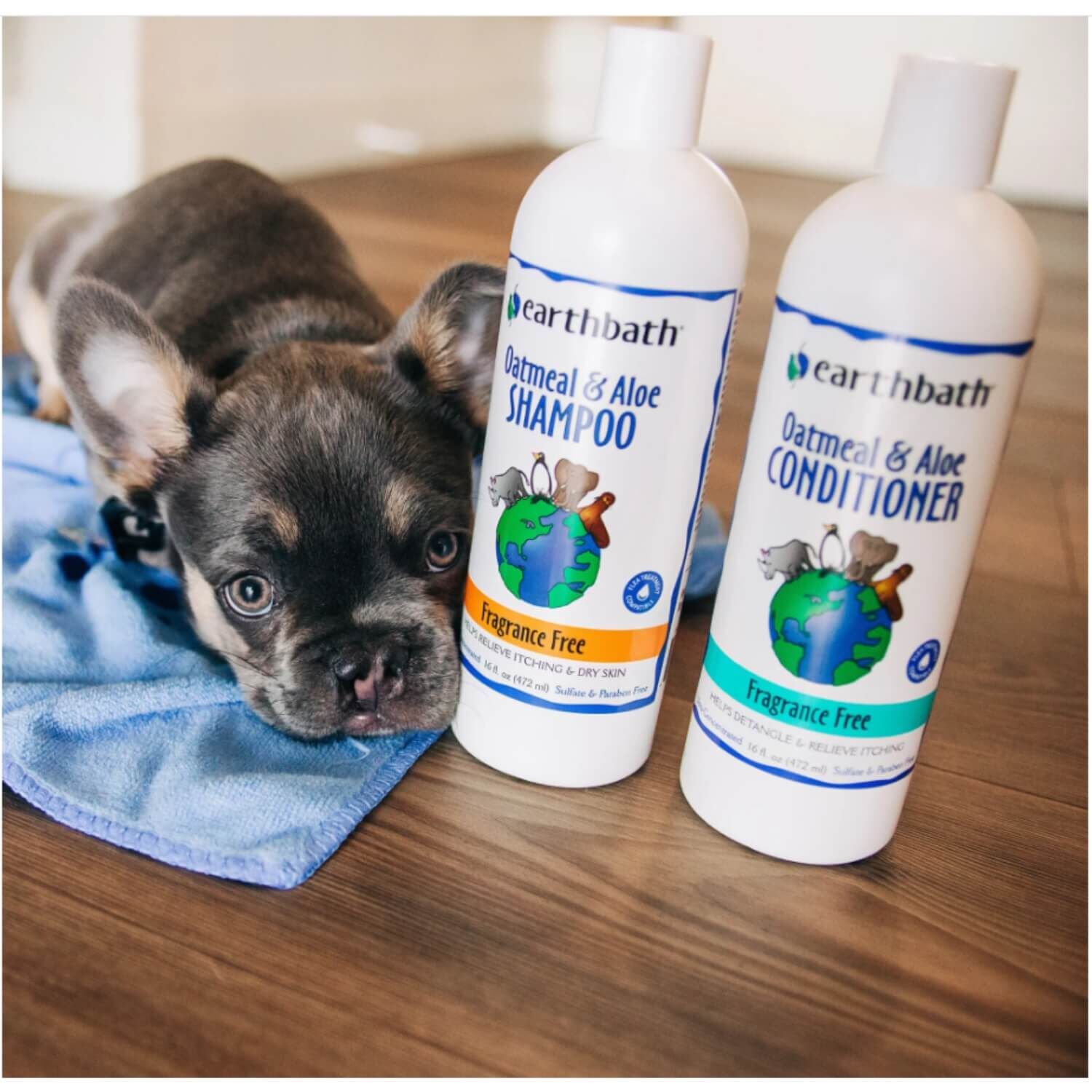 Earthbath Oatmeal & Aloe Dog & Cat Shampoo, Fragrance Free