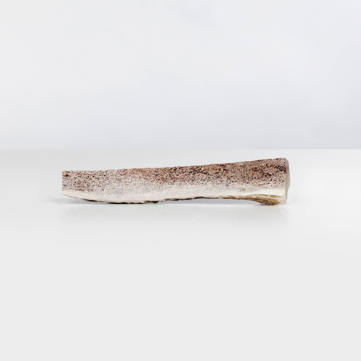 Primal Stag Antler Durable Dog Treat, Medium