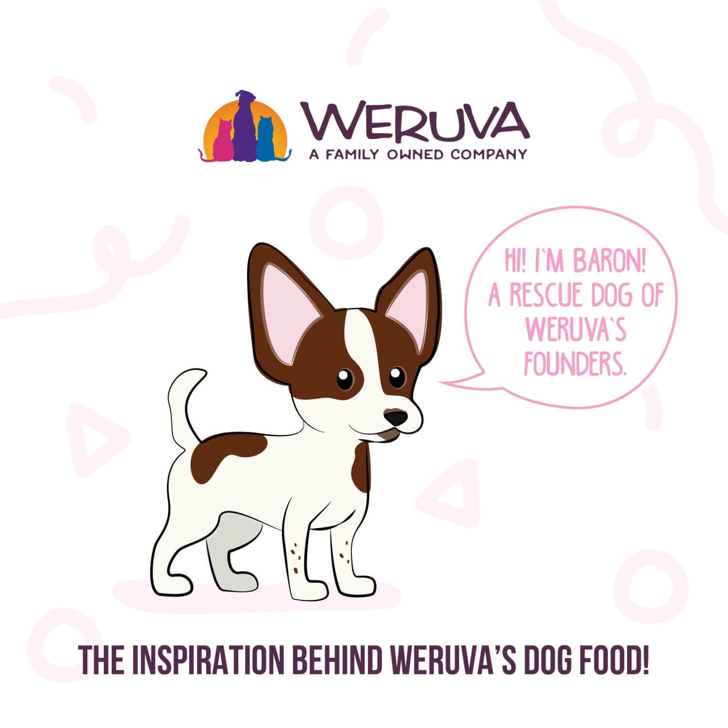 Weruva Dog Meals 'N More Natural Grandma's Chicken Soup Recipe Plus Digestive Support Wet Dog Food