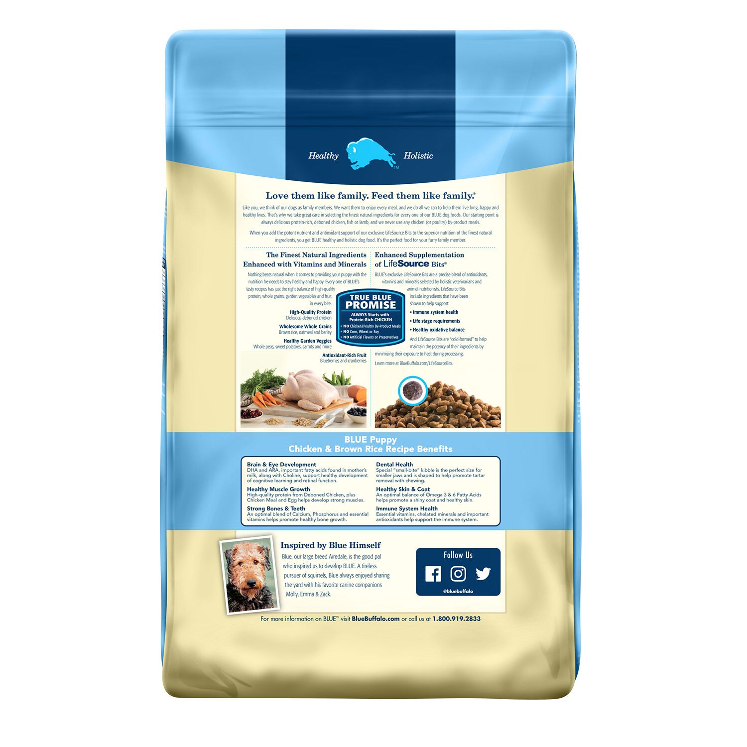 Blue Buffalo Life Protection Puppy Dog Food