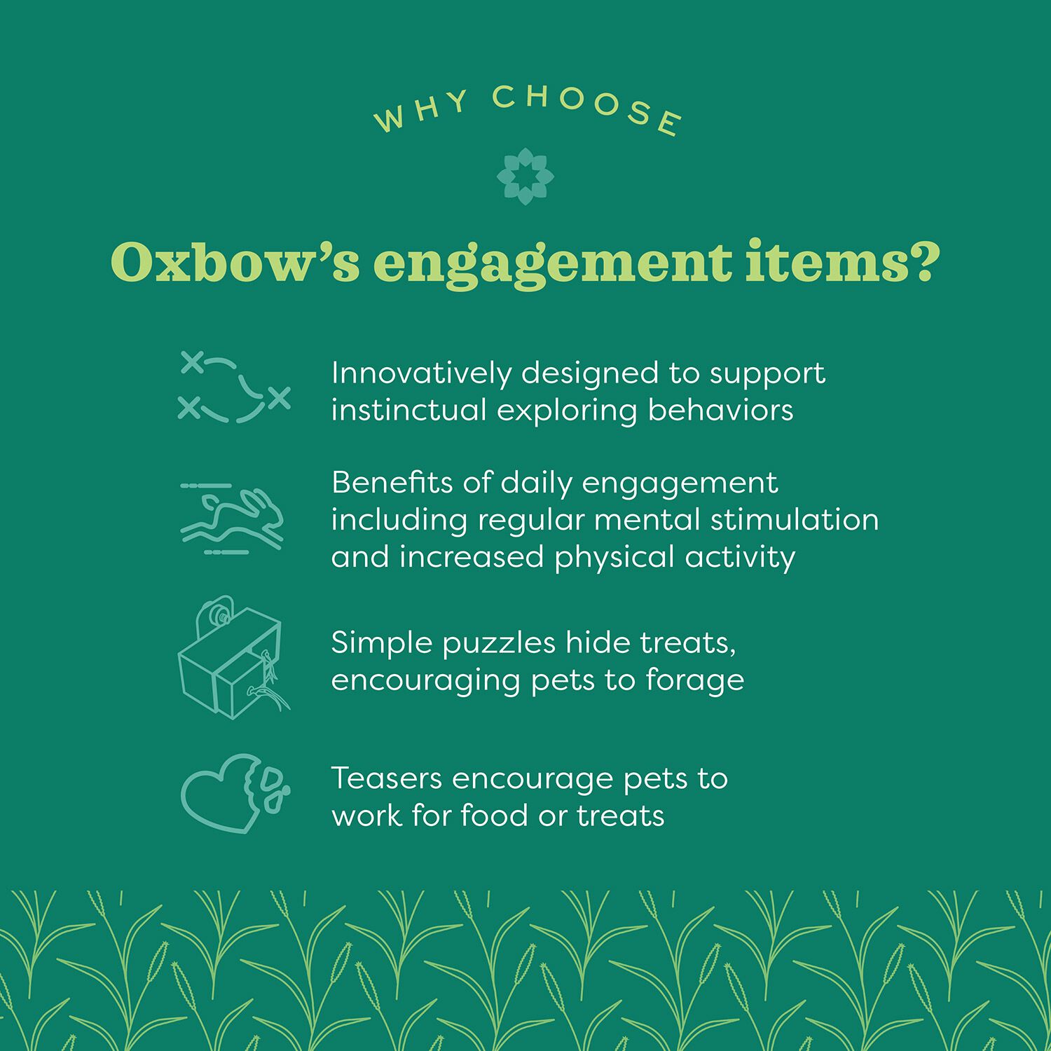Oxbow Enriched Life Garden Dig Box