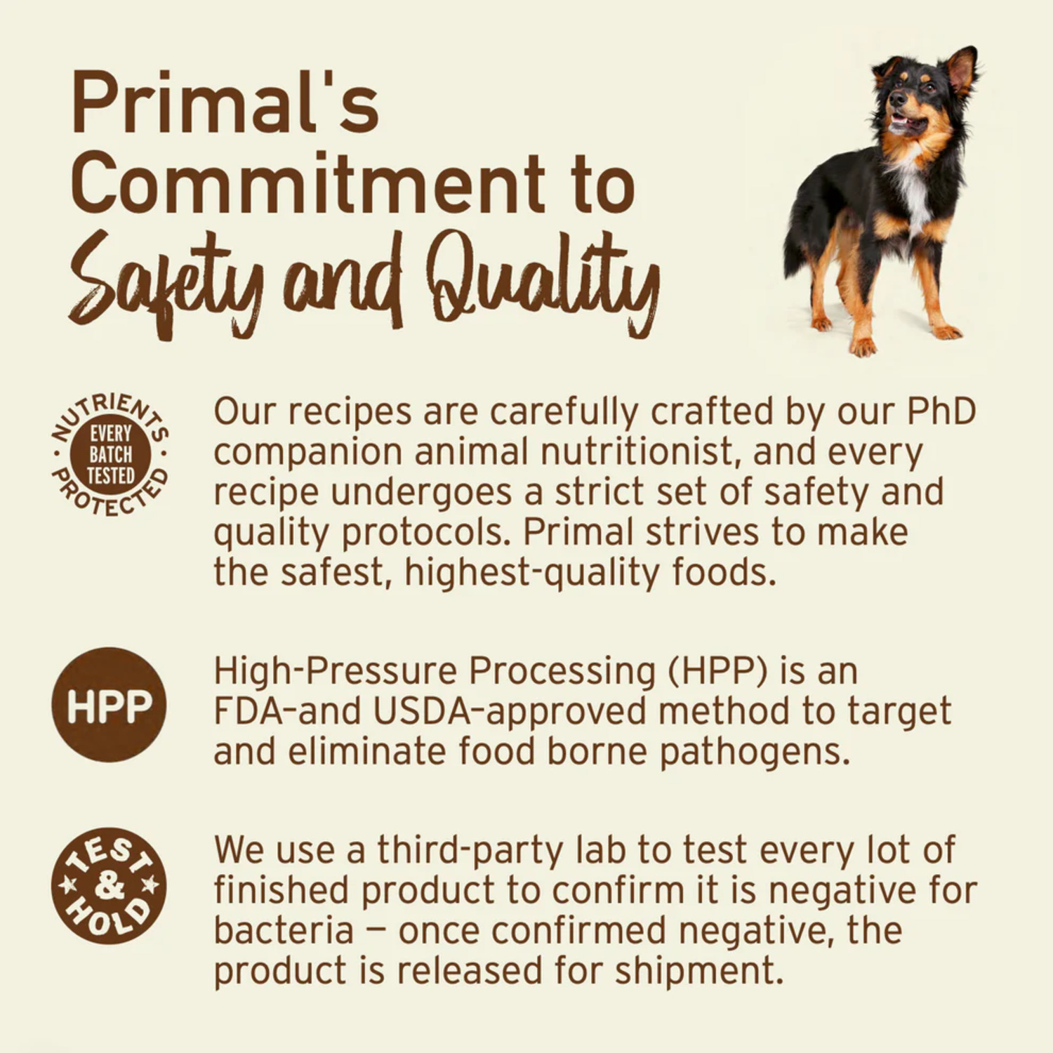 Primal Frozen Raw Scoopable Pronto Chicken Formula Frozen Dog Food, 4Lb