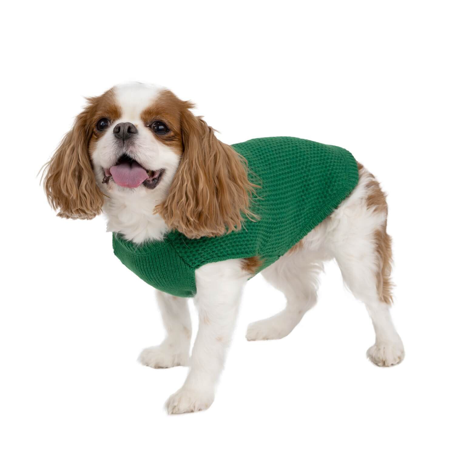 Simply Dog Green Henley Fall Pullover Dog Sweater
